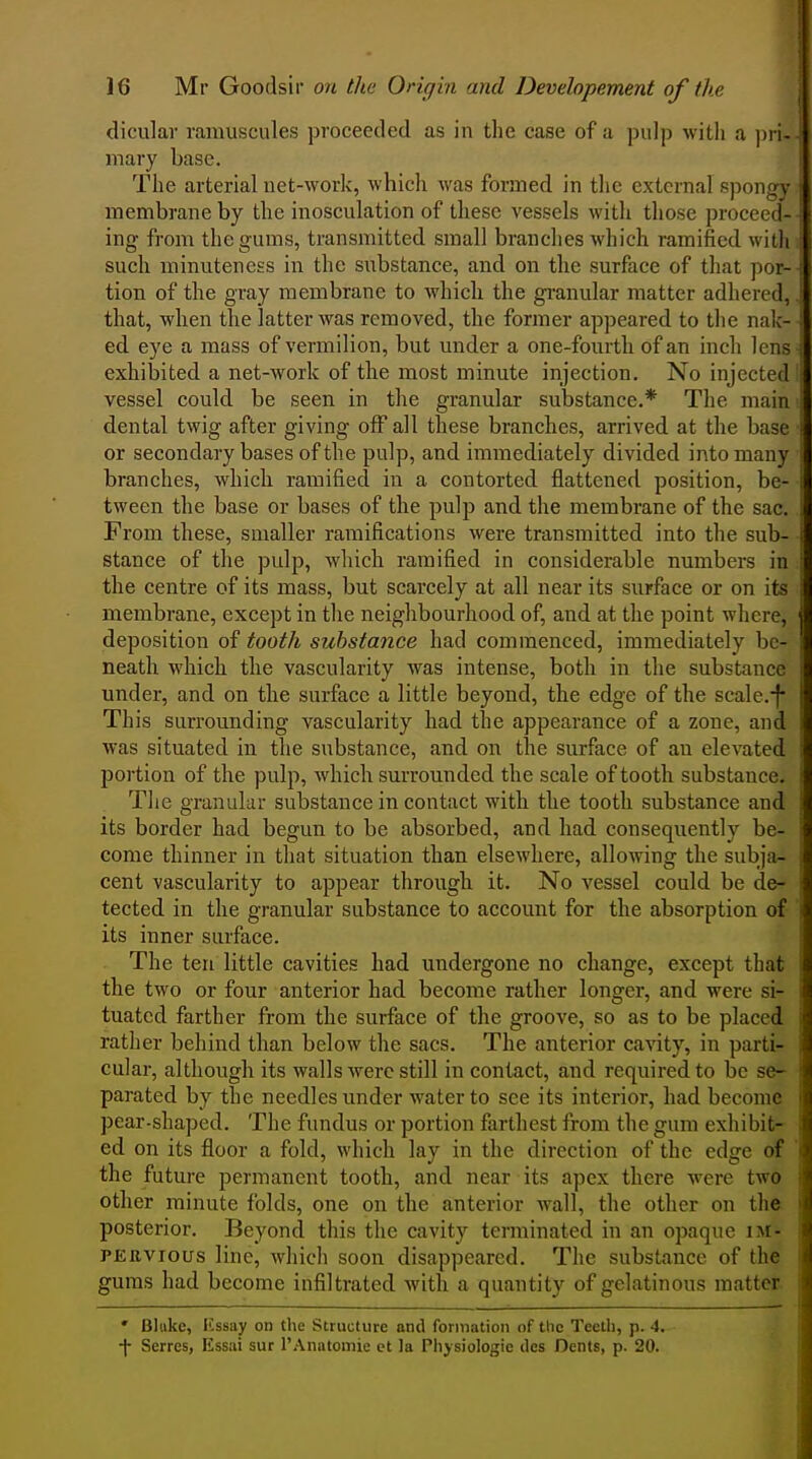 dicular ramuscules proceeded as in the case of a pulp with a pri- mary base. The arterial net-work, which was formed in the external spongy membrane by the inosculation of these vessels with those proceed- ing from the gums, transmitted small branches which ramified with such minuteness in the substance, and on the surface of that por- tion of the gray membrane to which the gi-anular matter adhered, that, when the latter was removed, the former appeared to the nak- ed eye a mass of vermilion, but under a one-fourth of an inch lens exhibited a net-work of the most minute injection. No injected vessel could be seen in the granular substance.* The main dental twig after giving off all these branches, arrived at the base or secondary bases of the pulp, and immediately divided into many branches, which ramified in a contorted flattened position, be- tween the base or bases of the pulp and the membrane of the sac. From these, smaller ramifications were transmitted into the sub- stance of the pulp, which ramified in considerable numbers in the centre of its mass, but scarcely at all near its surface or on its membrane, except in the neighbourhood of, and at the point where, deposition of tooth substance had commenced, immediately be- neath which the vascularity was intense, both in the substance under, and on the surface a little beyond, the edge of the scale.-f This surrounding vascularity had the appearance of a zone, and was situated in the substance, and on the surface of an elevated portion of the pulp, which surrounded the scale of tooth substance. Tiie granular substance in contact with the tooth substance and its border had begun to be absorbed, and had consequently be- come thinner in that situation than elsewhere, allowing the subja- cent vascularity to appear through it. No vessel could be de- tected in the granular substance to account for the absorption of its inner surface. The ten little cavities had undergone no change, except that the two or four anterior had become rather longer, and were si- tuated farther from the surface of the groove, so as to be placed rather behind than below the sacs. The anterior cavity, in parti- cular, although its walls were still in contact, and required to be se- parated by the needles under water to see its interior, had become pear-shaped. The fundus or portion farthest from the gum exhibit- ed on its floor a fold, which lay in the direction of the edge of the future permanent tooth, and near its apex there were two other minute folds, one on the anterior wall, the other on the posterior. Beyond this the cavity terminated in an opaque im- pervious line, which soon disappeared. The substance of the' gums had become infiltrated with a quantity of gelatinous matter. ' Bltikc, Kssay on the Structure and formation of the Teeth, p. 4. t Serres, Essai sur rAnatomie et )a Physiologic des Dents, p. 20.