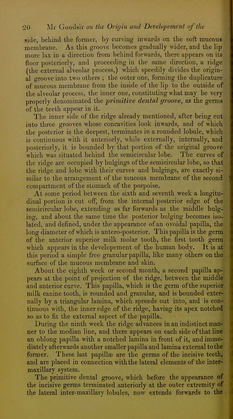 side, beliind the former, by curving inwards on the soft mucous membrane. As this groove becomes gradually wider, and the lip more lax in a direction from behind forwards, there appears on its floor posteriorly, and proceeding in the same direction, a ridge (the external alveolar process,) which speedily divides the origin- al groove into two others ; the outer one, forming the duplicature of mucous membrane from the inside of the lip to the outside of the alveolar process, the inner one, constituting what may be very properly denominated the primitive dental groove, as the germs of the teeth appear in it. The inner side of the ridge already mentioned, after being cut into three grooves Avhose concavities look inwards, and of which the posterior is the deepest, terminates in a rounded lobule, -which is continuous with it anteriorly, while externally, internally, and posteriorly, it is bounded by that portion of the original groove which was situated behind the semicircular lobe. The curves of the ridge are occupied by bulgings of the semicircular lobe, so that the ridge and lobe with their curves and bulgings, are exactly si- milar to the arrangement of the mucous membrane of the second compartment of the stomach of the porpoise. At some period between the sixth and seventh week a longitu- dinal portion is cut off, from the internal posterior edge of the semicircular lobe, extending as far forwards as the middle bulg- ing, and about the same time the posterior bulging becomes iso- lated, and defined, under the appearance of an ovoidal papilla, the long diameter of which is antero-posterior. This papilla is the germ of the anterior superior milk molar tooth, the first tooth germ which appears in the developement of the human body. It is at this period a simple free granular papilla, like many others on the surface of the mucous membrane and skin. About the eighth week or second month, a second papilla ap- pears at the point of projection of the ridge, between the middle and anterior curve. This papilla, which is the gemi of the superior milk canine tooth, is rounded and granular, and is bounded exter- nally by a triangular lamina, which spreads out into, and is con- tinuous with, the inner edge of the ridge, having its apex notched so as to fit the external aspect of the papilla. During the ninth week the ridge advances in an indistinct man- ner to the median line, and there appears on each side of that line an oblong papilla with a notched lamina in front of it, and imme- diately afterwards another smaller papilla and lamina external to the former. These last papillae are the germs of the incisive teetb, and are placed in connection with the lateral elements of the inter- maxillary system. The primitive dental groove, which before the appearance of the incisive germs terminated anteriorly at the outer extremity of the lateral inter-maxillary lobules, now extends forwards to the
