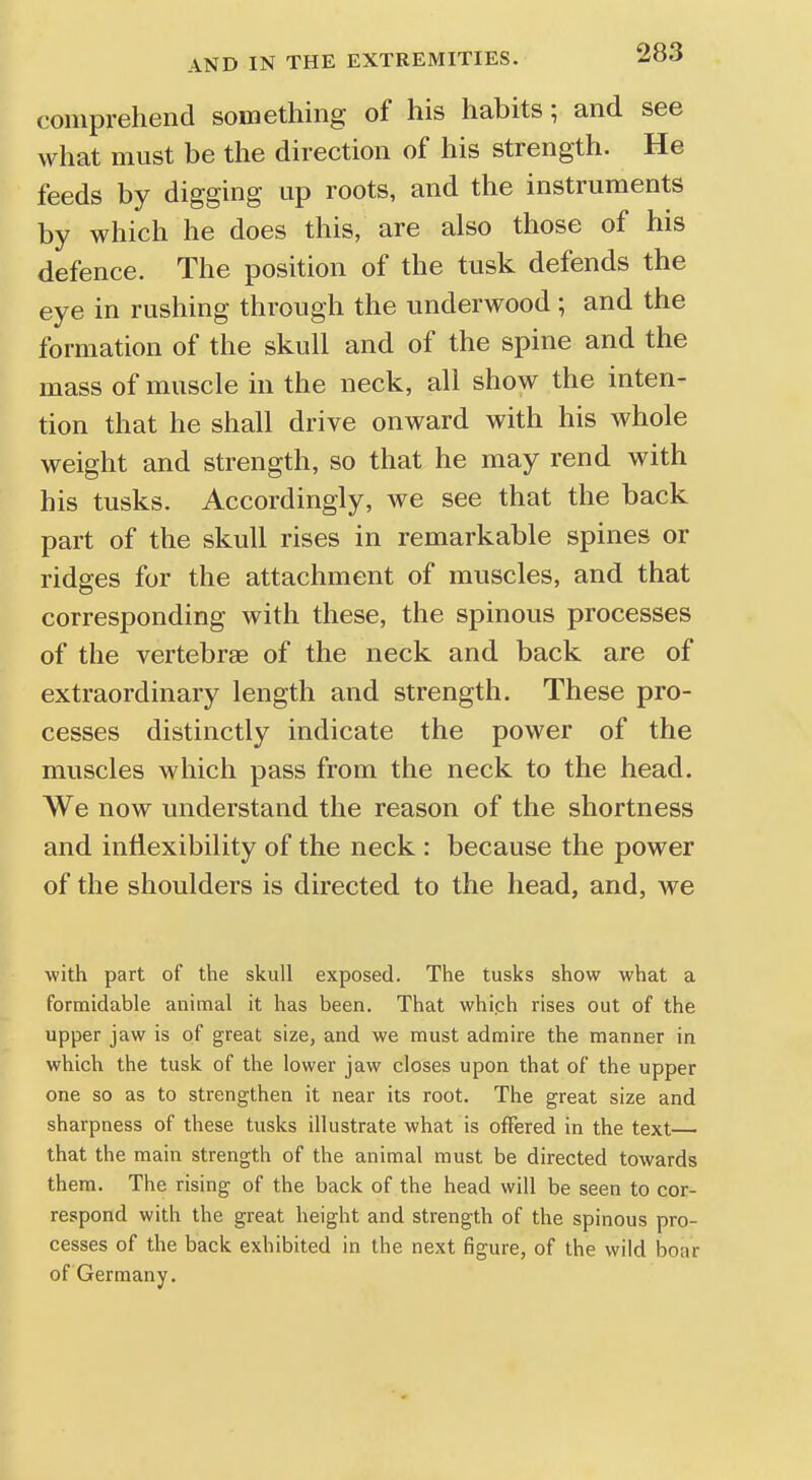 comprehend something of his habits; and see what must be the direction of his strength. He feeds by digging up roots, and the instruments by which he does this, are also those of his defence. The position of the tusk defends the eye in rushing through the underwood ; and the formation of the skull and of the spine and the mass of muscle in the neck, all show the inten- tion that he shall drive onward with his whole weight and strength, so that he may rend with his tusks. Accordingly, we see that the back part of the skull rises in remarkable spines or ridges for the attachment of muscles, and that corresponding with these, the spinous processes of the vertebrae of the neck and back are of extraordinary length and strength. These pro- cesses distinctly indicate the power of the muscles which pass from the neck to the head. We now understand the reason of the shortness and inflexibility of the neck : because the power of the shoulders is directed to the head, and, we with part of the skull exposed. The tusks show what a formidable animal it has been. That which rises out of the upper jaw is of great size, and we must admire the manner in which the tusk of the lower jaw closes upon that of the upper one so as to strengthen it near its root. The great size and sharpness of these tusks illustrate what is offered in the text— that the main strength of the animal must be directed towards them. The rising of the back of the head will be seen to cor- respond with the great height and strength of the spinous pro- cesses of the back exhibited in the next figure, of the wild boar of Germany.