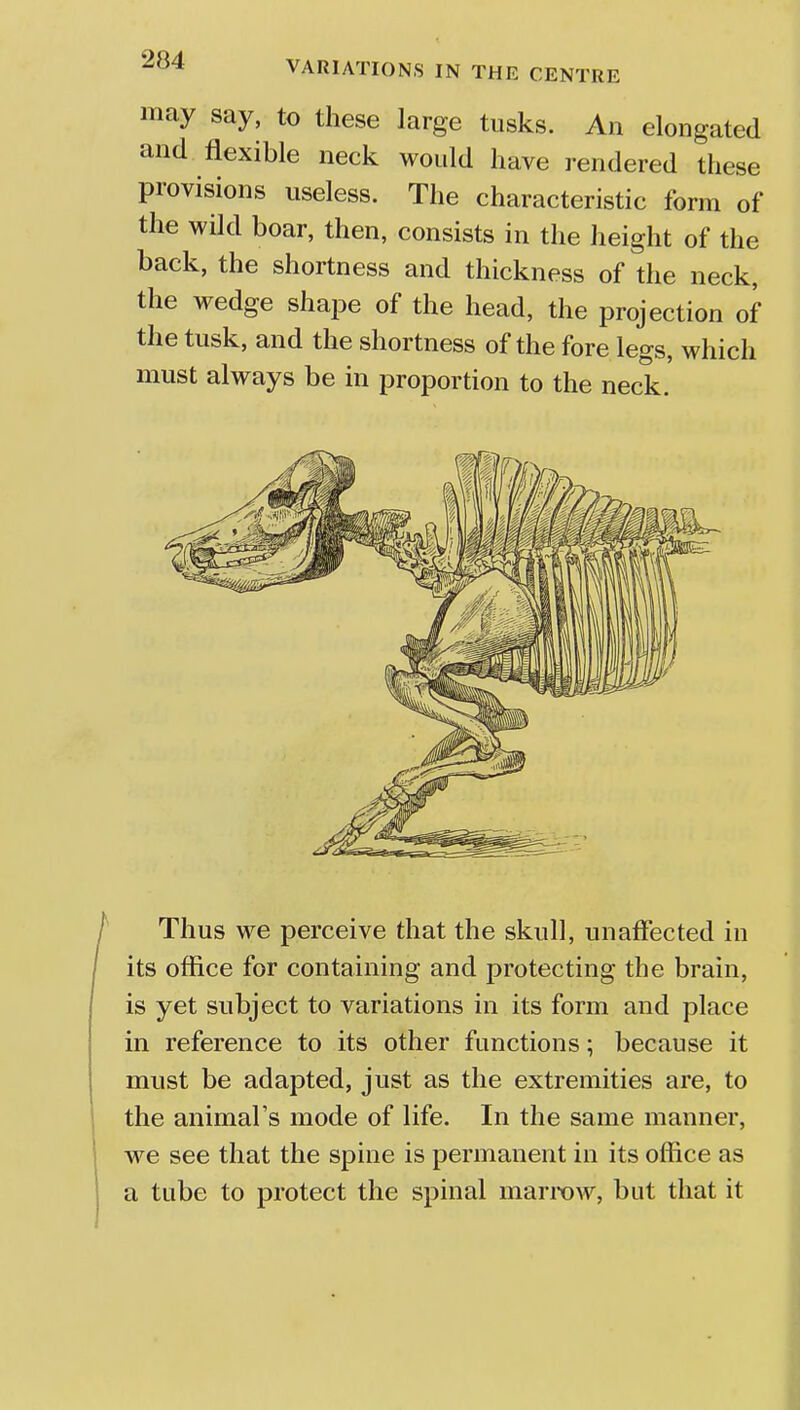 may say, to these large tusks. An elongated and flexible neck would have rendered these provisions useless. The characteristic form of the wild boar, then, consists in the height of the back, the shortness and thickness of the neck, the wedge shape of the head, the projection of the tusk, and the shortness of the fore legs, which must always be in proportion to the neck. Thus we perceive that the skull, unaffected in its office for containing and protecting the brain, is yet subject to variations in its form and place in reference to its other functions; because it must be adapted, just as the extremities are, to the animal's mode of life. In the same manner, we see that the spine is permanent in its office as a tube to protect the spinal marrow, but that it