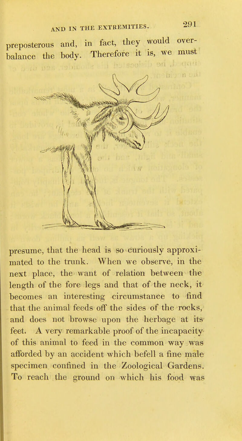 preposterous and, in fact, they would over- balance the body. Therefore it is, we must presume, that the head is so curiously approxi- mated to the trunk. When we observe, in the next place, the want of relation between the length of the fore legs and that of the neck, it becomes an interesting circumstance to find that the animal feeds off the sides of the rocks, and does not browse upon the herbage at its feet. A very remarkable proof of the incapacity of this animal to feed in the common way was afforded by an accident which befell a fine male specimen confined in the Zoological Gardens. To reach the ground on which his food was