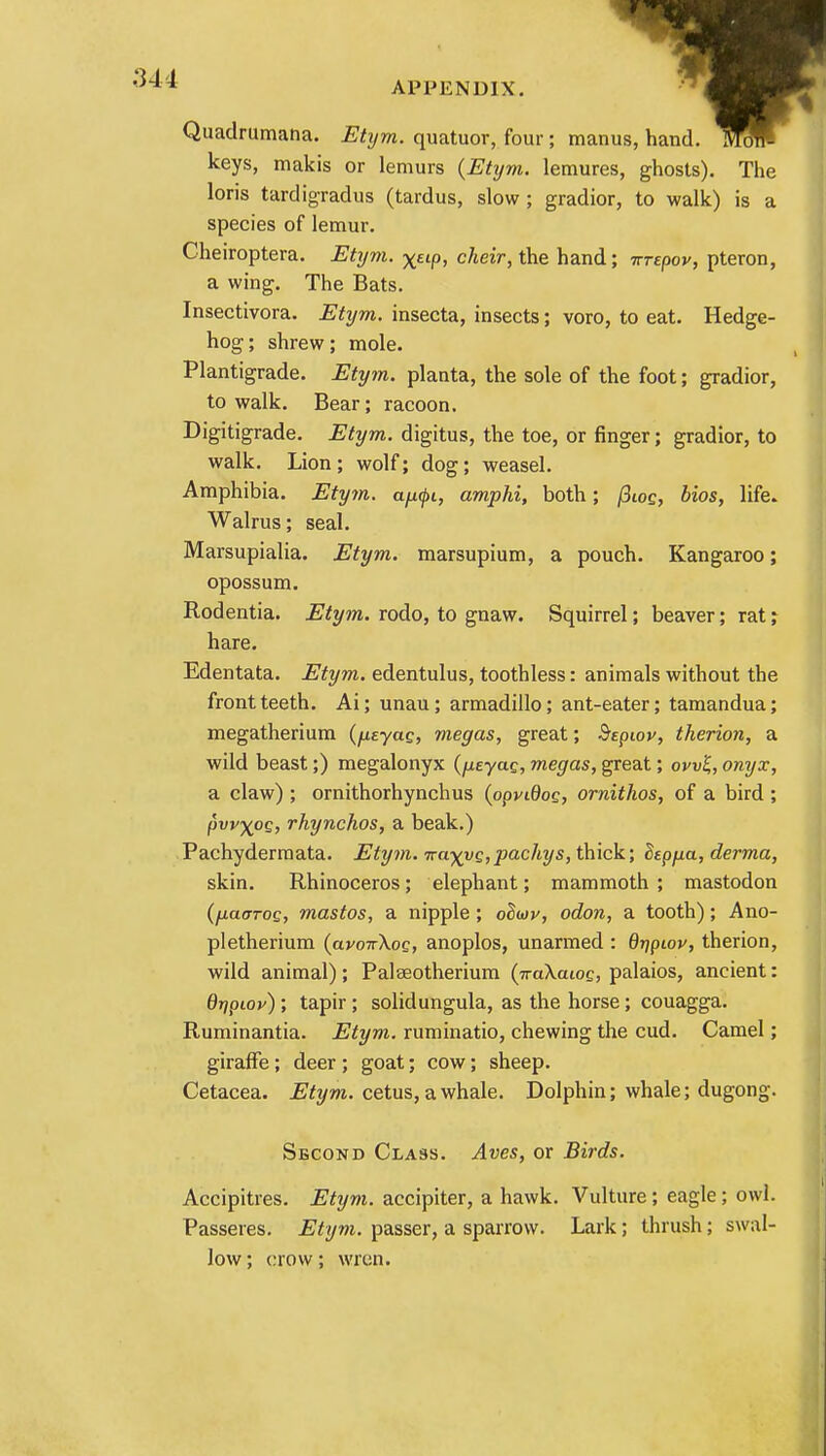 Quadrumana. Ehjm. quatuor, four; manus, keys, makis or lemurs (Etym. lemures, ghosts). The loris tardigradus (tardus, slow ; gradior, to walk) is a species of lemur. Cheiroptera. Etym. Xsip, cheir, the hand; irrepov, pteron, a wing. The Bats. Insectivora. Etym. insecta, insects; voro, to eat. Hedge- hog; shrew; mole. Plantigrade. Etym. planta, the sole of the foot; gradior, to walk. Bear; racoon. Digitigrade. Etym. digitus, the toe, or finger; gradior, to walk. Lion ; wolf; dog; weasel. Amphibia. Etym. a/x^i, amphi, both; fiios, bios, life. Walrus; seal. Marsupialia. Etym. marsupium, a pouch. Kangaroo; opossum. Rodentia. Etym. rodo, to gnaw. Squirrel; beaver; rat? hare. Edentata. Etym. edentulus, toothless: animals without the front teeth. Ai; unau; armadillo; ant-eater; tamandua; megatherium (fj.eyag, megas, great; Sepiov, therion, a wild beast;) megalonyx (/xeyae, megas, great; ocuj, onyx, a claw) ; ornithorhynchus (opvidoe, ornithos, of a bird ; pw\pQ, rhynchos, a beak.) Pachydermata. Etym. Tra)(yQ,pacliys, thick; Bepfia, derma, skin. Rhinoceros; elephant; mammoth; mastodon (liaoroQ, mastos, a nipple; odwv, odon, a tooth); Ano- pletherium (avowXoQ, anoplos, unarmed : dnpwv, therion, wild animal); Palseotherium (7ra\atoe, palaios, ancient: dnpiop) ; tapir; solidungula, as the horse; couagga. Ruminantia. Etym. ruminatio, chewing the cud. Camel; giraffe; deer; goat; cow; sheep. Cetacea. Etym. cetus, a whale. Dolphin; whale; dugong. Second Class. Aves, or Birds. Accipitres. Etym. accipiter, a hawk. Vulture; eagle; owl. Passeres. Etym. passer, a sparrow. Lark; thrush; swal- low ; crow; wren.