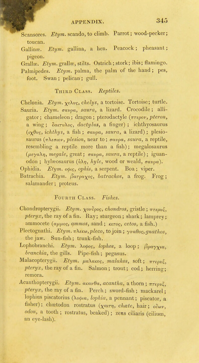 Scansores. Etym. scando, to climb. Parrot; wood-pecker; toucan. Gallinee. Etym. gallina, a hen. Peacock ; pheasant; pigeon. Gralke. Etym. grallse, stilts. Ostrich; stork; ibis; flamingo. Palmipedes. Etym. palma, the palm of the hand; pes, foot. Swan ; pelican ; gull. Third Class. Reptiles. Chelonia. Etym. x&vg, chelys, a tortoise. Tortoise; turtle. Sauria. Etym. aavpa, saura, a lizard. Crocodile; alli- gator ; chameleon; dragon ; pterodactyle {irrepov, pteron, a wing ; laKrvXoQ, dactylus, a finger) ; ichthyosaurus (ixdvg, ichthys, a fish ; aavpa, saura, a lizard) ; plesio- saurus (nXeoiov, plesion, near to ; aavpa, saura, a reptile, resembling a reptile more than a fish); megalosaurus (fieyaXr], megale, great; aavpa, saura, a reptile) ; iguan- odon ; hylaeosaurus (vXtj, hyle, wood or weald, aavpa). Ophidia. Etym. o(pig, ophis, a serpent. Boa ; viper. Batrachia. Etym. (jarpa^oQ, batrachos, a frog. Frog; salamander; proteus. Fourth Class. Fishes. Chondropterygii. Etym. xovdpog, chondros, gristle ; irrtpvl, pteryx, the ray of a fin. Ray; sturgeon; shark; lamprey; ammocete (afifiog, qmmos, sand; ketoq, cetos, a fish.) Plectognathi. Etym. itXekw,pleco, to join ; yvadocgnathos, the jaw. Sun-fish; trunk-fish. Lophobranchi. Etym. Xotpog, lophos, a loop; (ipay^ia, branchia, the gills. Pipe-fish; pegasus. Malacopterygii. Etym. fiaXaKoq, malakos, soft; TrrepvS, pteryx, the ray of a fin. Salmon; trout; cod; herring; remora. Acanthopterygii. Etym. aicavda, acantha, a thorn ; vrepvt, pteryx, the ray of a fin. Perch ; sword-fish ; mackarel; lophius piscatorius (\0</>ia, lophia, a pennant; piscator, a fisher); chsetodon rostratus (xcu^, chcete, hair; oSwv, odon, a tooth ; rostratus, beaked); zeas ciliaris (cilium, an eye-lash).