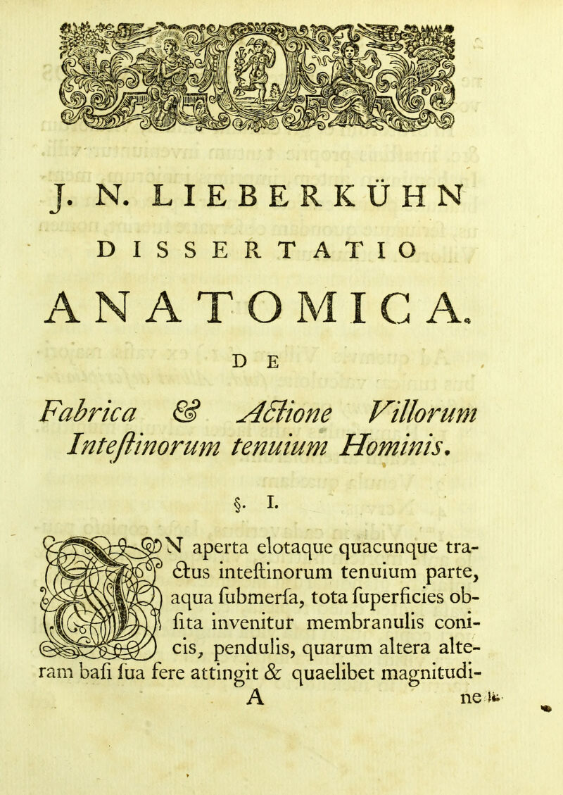DISSERTATIO ANATOMICA. D E Fabrica & ASiione Villoruni Intefiinorum tenuium Hominis. §. i. N aperta elotaque quacunque tra- ftus inteftmorum tenuium parte, aqua fubmerfa, tota fuperficies ob- fita invenitur membranulis coni- cis^ pendulis, quarum altera alte- ram bafi fua fere attingit & quaelibet magnitudi- A ne4ii »