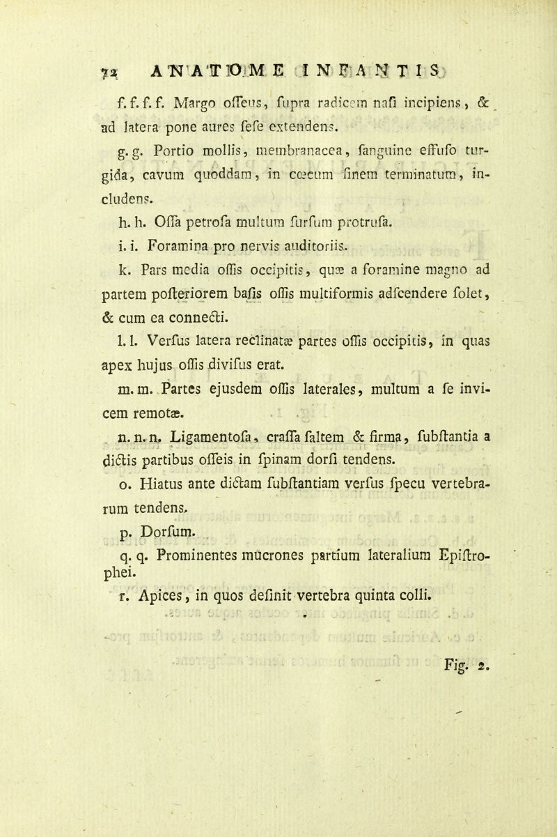 7? ATJ-A-iriOjM E N^lA T I S) f. f. f. f. Margo ofTeas, fupra radiccm naQ incipiens > & ad latera pone aures fefe extenden?. g. g. Portio moUis, membranacea, fanguine efFiifo tur- gida, cavum quoddara, in co^cum fmera terminatura, in- cludens. h. h. OfTa petrofa multura furfum protrufa. i. i. Foramina pro nervis auditoriis,. k. Pars media ollis occipitis, qux a foramine magno ad partem pofteriorem bafis ollis multiforniis adfcendere folet, & cum ea connefli. 1.1. Verfus lacera reclinatae partes ofTis occipicis, in quas apex hujus olTis jdivifus erat. m. m. Partes ejusdem offis laterales, multum a fe invi- cem remotae. , n. ,n. n, Ligamentofa, crafTafaltem &firma, fubftantia a di^lis partibus olfeis in fpinam dorfi tendens. o. Hiatus ante didam fubllantiam verfus fpecu vertebra- rum tendens, p. Dorfum. q. q. Prominentes mucrones partium lateralium Epiftro- phei. r. Apices, in quos definit vertebra quinta coHi. Fig. 2.