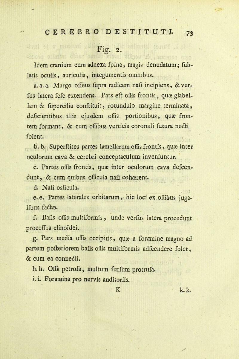 Fig. 2. Idem cranium cum adnexa fpina, magis denudatura; fub- latis ocuiis, auriculis, integumentis omnibus. a. a. a. Margo offeus fupra radicem nafi incipiens, & ver- fus latera fefe extendens. Pars eft olTis frontis, quae glabel- lam & fupercilia conflituit, rotundulo raargine terminata, deiicientibus illis ejusdem o^fis portionibus, quae fron- tera formant, & cura oiTibus verticis coronali futura ne6ii folent. b. b. Superflites partes lamellarum olHs frontis, quse inter oculorum cava & cerebri conceptaculum inveniuntur. c. Partes oflis frontis, quas inter oculorum cava defcen- dunt, & cum quibus officula nafi cohasrent. d. Nafi osficula. - e. e. Partes laterales orbitarura, hic loci ex offibus juga- libus fatlx. f. Bafis offis multiformis, unde verfus latera procedunt proceffus clinoidei. ,g. Pars media offis occipitis, quaa a fordmine magno ad partera pofteriorem bafis offis multiformis adfcendere folet, & cura ea connedi. h. h. Offapetrofa, multum furfum protrufa. i. i. Foramina pro nervis auditoriis. K LL