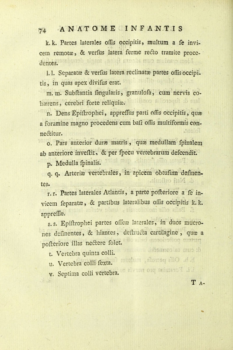 k. k. Partes laterales offis occipitis, multum a fe invi- cem remotie, & verfus latera ferme redo tramite proce- dentes. 1.1. Separatffi & verfus latera reclinatse partes offis occipi, tis, in quas apex divifus erat. m. m. Subftantia fmgularis, granulofa, cum nervis co- hasrens, cerebri forte reliquia^. n. Dens Epillrophei, apprelTas parti offis occipitis, qu8& ' a foramine magno procedens cum bafi offis multiformis con- ne6litur. o. Pars anterior durse matris, qus medullam fpinalem ab anteriore inveflit, & per fpecu vertebrarum defcendit. p. Medulla fpinalis. q. q. Arterife vertebrales , in apicem obtufum definen- tes. r.r. Partes lateraies Atiantis, a parte pofleriore a fe in- vicem feparats, & partibus lateralibus offis occipitis k. k. apprelTas. s. s. Epiflrophei partes olTes laterales, in duos mucro- nes definentes, & hiantes, deftrucla cartilagine , qucB a pofteriore illas neftere folet. t. Vertebra quinta colli. u. Vertebra colli fexta. V. Septima coUi vertebra. T A-