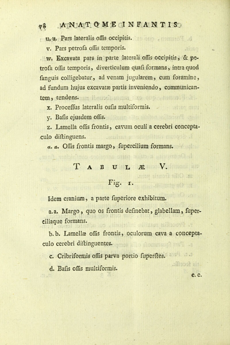 5 iii'U. Pars lateralis oflls occipitis. V. Pars petrofa offis temporis. w. Excavata pats in parte laterali offis occipitis, & pe- trofa offis temporis, diverticulum quafi formans, intra quod fanguis colligebatur, ad venam jugularem, cum foramine, ad fundum hujus excavata partis inveniendo, coramunican- tem? tendens. X. ProcelTus lateralis osfis multiformis. . y. Bafis ejusdem offis. z. Lamella offis frontis, cavum oculi a cerebri concepta- culo diflinguens. Offis frontis margo, fuperciliura formans. T A B U L ^ V. Fig. I. Idem cranium, a parte fuperiore exhibitum. a. a. Margo, quo os frontis definebat, glabellam, fuper- ciliaque formans. b. b. Lamell® offis frontis, oculorum cava a concepta- culo cerebri diilinguentes. c. Cribriformis offis parva portio fuperfles. d. Bafis offis multiformis. ^ >t: e. e.