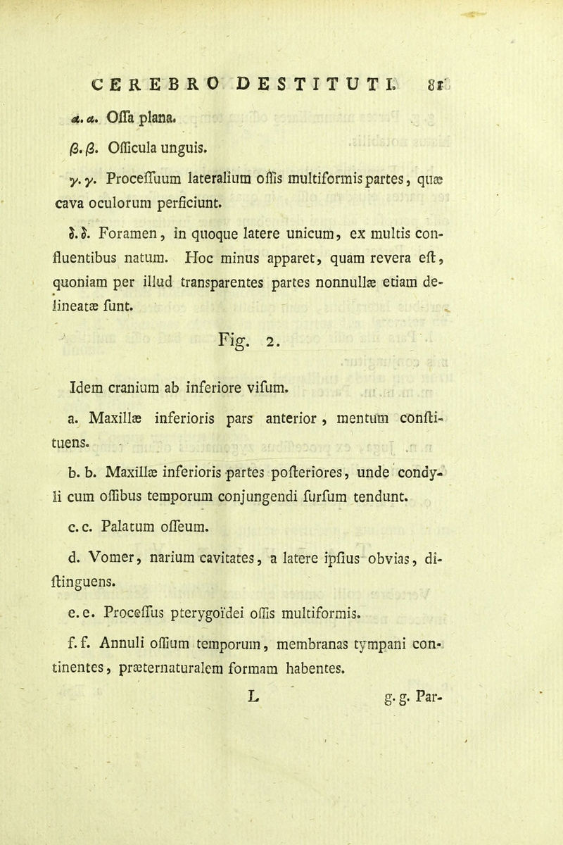 4i, u» OiTa plana* j8./3. Officula unguis. y.y. Procefluum lateralium oflis muldformis partes, quas cava oculorum perficiunt. 5.^. Foramen, in quoque latere unicum, ex multis con- fluentibus natum. Hoc minus apparet, quam revera efl:, quoniam per illud transparentes partes nonnullse etiam de- iineatae flant. Fig. 2. Idem cranium ab inferiore vifum. a. Maxillas inferioris pars anterior, mentum confti- tuens. b. b. Maxillse inferioris partes pofleriores, unde condy- 11 cum offibus temporum conjungendi furfum tendunt. c. c. Palatum ofleum. d. Vomer, narium cavitates, a latere ipfius obvias, di- flinguens. e. e. Procefllis pterygoidei offis multiformis. f. f. Annuli offium temporum, membranas tympani con- tinentes, prasternaturalem formam habentes. L g. g. Par-