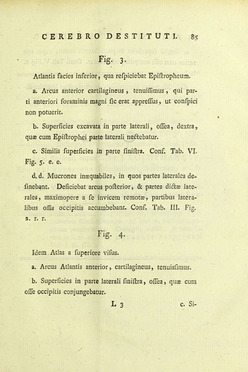 CEREBRO DESTITUTI. as Fig. 3. Atlantis facies inferior, qua refpiciebat Epiflropheiim. a. Arcus anterior cartilagineus, tenuiffimus, qui par- ti anteriori foraminis magni fic erac apprelTus, ut confpici non potueric. b. Superficies excavata in parte laterali, ofFea, dextra, quae cum Epiftrophei parte laterali nedebatur. c. Similis fuperficies in parte finiftra. Conf. Tab. VL Fig. 5. e. e. d. d. Mucrones ineequabiles, in quos partes laterales de- Hnebant. Deficiebat arcus poflerior, & partes didse iate- rales, maximopere a fe invicem remotse, partibus latera- libus offis occipitis accumbebant. Conf. Tab. 111. Fig. 3. r. r. Fig. 4. Idem Atlas a fuperiore vifus. a. Arcus Atlantis anterior, cartilagineus, tenuisfimus. b. Superficies in parte laterali finiltra, olTea, quas cum olTe occipitis conjungebatur.