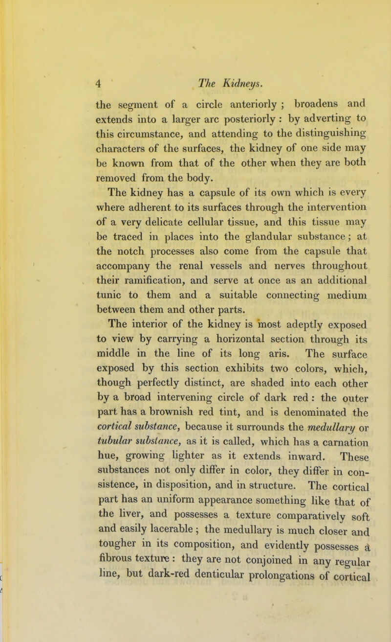 the segment of a circle anteriorly ; broadens and extends into a larger arc posteriorly : by adverting to this circumstance, and attending to the distinguishing characters of the surfaces, the kidney of one side may be known from that of the other when they are both removed from the body. The kidney has a capsule of its own which is every where adherent to its surfaces through the intervention of a very delicate cellular tissue, and this tissue may be traced in places into the glandular substance; at the notch processes also come from the capsule that accompany the renal vessels and nerves throughout their ramification, and serve at once as an additional tunic to them and a suitable connecting medium between them and other parts. The interior of the kidney is rnost adeptly exposed to view by carrying a horizontal section through its middle in the line of its long aris. The surface exposed by this section exhibits two colors, which, though perfectly distinct, are shaded into each other by a broad intervening circle of dark red ; the outer part has a brownish red tint, and is denominated the cortical substance, because it surrounds the medullary or tubular substance, as it is called, which has a carnation hue, growing lighter as it extends inward. These substances not only differ in color, they differ in con- sistence, in disposition, and in structure. The cortical part has an uniform appearance something like that of the liver, and possesses a texture comparatively soft and easily lacerable ; the medullary is much closer and tougher in its composition, and evidently possesses eI fibrous texture : they are not conjoined in any regular line, but dark-red denticular prolongations of cortical