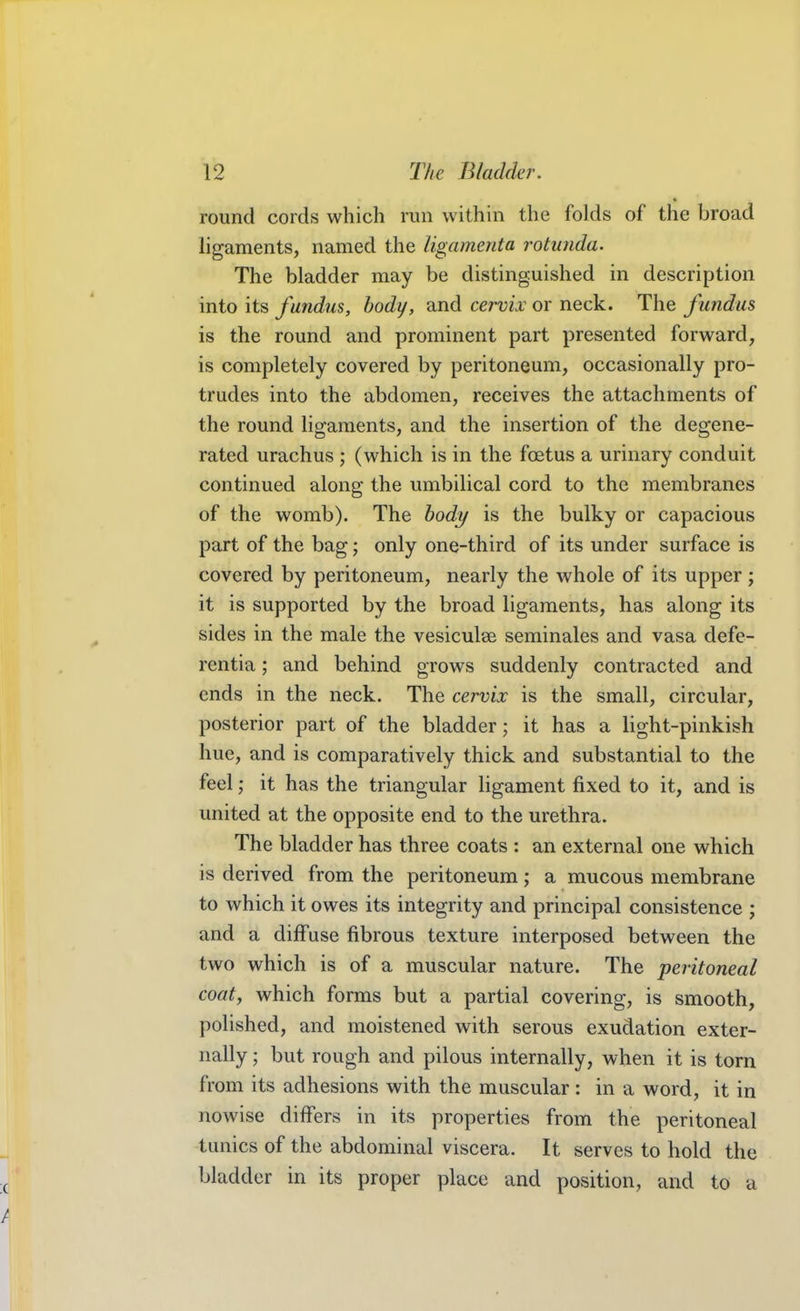 round cords which run within the folds of the broad ligaments, named the Ugamenta rotunda. The bladder may be distinguished in description into its fundus, body, and cervix or neck. The fundus is the round and prominent part presented forward, is completely covered by peritoneum, occasionally pro- trudes into the abdomen, receives the attachments of the round ligaments, and the insertion of the degene- rated urachus ; (which is in the foetus a urinary conduit continued along the umbilical cord to the membranes of the womb). The body is the bulky or capacious part of the bag; only one-third of its under surface is covered by peritoneum, nearly the whole of its upper ; it is supported by the broad ligaments, has along its sides in the male the vesiculse seminales and vasa defe- rentia; and behind grows suddenly contracted and ends in the neck. The cervix is the small, circular, posterior part of the bladder; it has a light-pinkish hue, and is comparatively thick and substantial to the feel; it has the triangular ligament fixed to it, and is united at the opposite end to the urethra. The bladder has three coats : an external one which is derived from the peritoneum; a mucous membrane to which it owes its integrity and principal consistence ; and a diffuse fibrous texture interposed between the two which is of a muscular nature. The peritoneal coaty which forms but a partial covering, is smooth, polished, and moistened with serous exudation exter- nally ; but rough and pilous internally, when it is torn from its adhesions with the muscular : in a word, it in nowise differs in its properties from the peritoneal tunics of the abdominal viscera. It serves to hold the bladder in its proper place and position, and to a