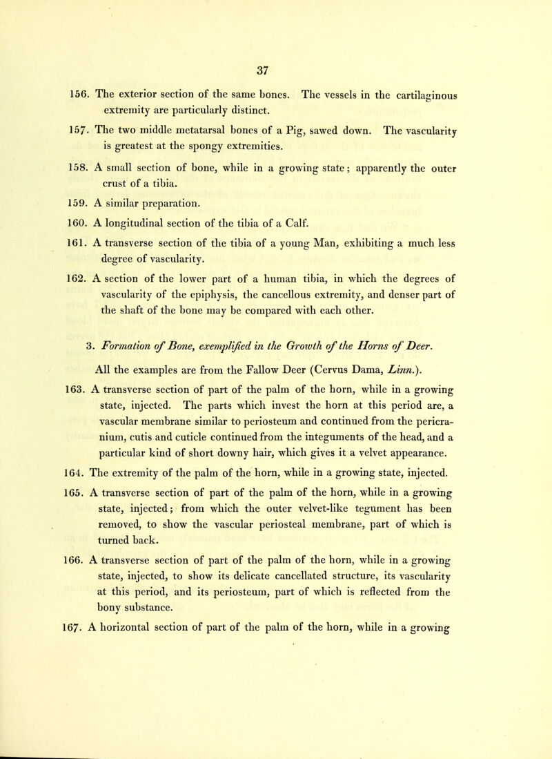 156. The exterior section of the same bones. The vessels in the cartilaginous extremity are particularly distinct. 157. The two middle metatarsal bones of a Pig, sawed down. The vascularity is greatest at the spongy extremities. 158. A small section of bone, while in a growing state; apparently the outer crust of a tibia. 159. A similar preparation. 160. A longitudinal section of the tibia of a Calf. 161. A transverse section of the tibia of a young Man, exhibiting a much less degree of vascularity. 162. A section of the lower part of a human tibia, in which the degrees of vascularity of the epiphysis, the cancellous extremity, and denser part of the shaft of the bone may be compared with each other. 3. Formation of Bone, exemplified in the Groivth of the Horns of Deer. All the examples are from the Fallow Deer (Cervus Dama, Linn.). 163. A transverse section of part of the palm of the horn, while in a growing state, injected. The parts which invest the horn at this period are, a vascular membrane similar to periosteum and continued from the pericra- nium, cutis and cuticle continued from the integuments of the head, and a particular kind of short downy hair, which gives it a velvet appearance. 164. The extremity of the palm of the horn, while in a growing state, injected. 165. A transverse section of part of the palm of the horn, while in a growing state, injected; from which the outer velvet-like tegument has been removed, to show the vascular periosteal membrane, part of which is turned back. 166. A transverse section of part of the palm of the horn, while in a growing state, injected, to show its delicate cancellated structure, its vascularity at this period, and its periosteum, part of which is reflected from the bonv substance. 167. A horizontal section of part of the palm of the horn, while in a growing