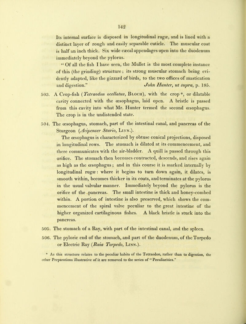 Its internal surface is disposed in longitudinal rugae, and is lined with a distinct layer of rough and easily separable cuticle. The muscular coat is half an inch thick. Six wide caecal appendages open into the duodenum immediately beyond the pylorus.  Of all the fish I have seen, the Mullet is the most complete instance of this (the grinding) structure ; its strong muscular stomach being evi- dently adapted, like the gizzard of birds, to the two offices of mastication and digestion. John Hunter, ut supra, p. 185. 503. A Crop-fish {Tetraodon ocellalus, Bloch), with the crop*, or dilatable cavity connected with the oesophagus, laid open. A bristle is passed from this cavity into what Mr. Hunter termed the second oesophagus. The crop is in the undistended state. 504. The oesophagus, stomach, part of the intestinal canal, and pancreas of the Sturgeon {Acipenser Sturio, Linn.). The oesophagus is characterized by obtuse conical projections, disposed in longitudinal rows. The stomach is dilated at its commencement, and there communicates with the air-bladder. A quill is passed through this orifice. The stomach then becomes contracted, descends, and rises again as high as the oesophagus ; and in this course it is marked internally by longitudinal rugae: where it begins to turn down again, it dilates, is smooth within, becomes thicker in its coats, and terminates at the pylorus in the usual valvular manner. Immediately beyond the pylorus is the orifice of the pancreas. The small intestine is thick and honey-combed within. A portion of intestine is also preserved, which shows the com- mencement of the spiral valve peculiar to the great intestine of the higher organized cartilaginous fishes. A black bristle is stuck into the pancreas. 505. The stomach of a Ray, with part of the intestinal canal, and the spleen, 506. The pyloric end of the stomach, and part of the duodenum, of the Torpedo or Electric Ray {Rata Torpedo, Linn.). * As this structure relates to the peculiar habits of the Tetraodon, rather than to digestion, the other Preparations illustrative of it are removed to the series of  Peculiarities.