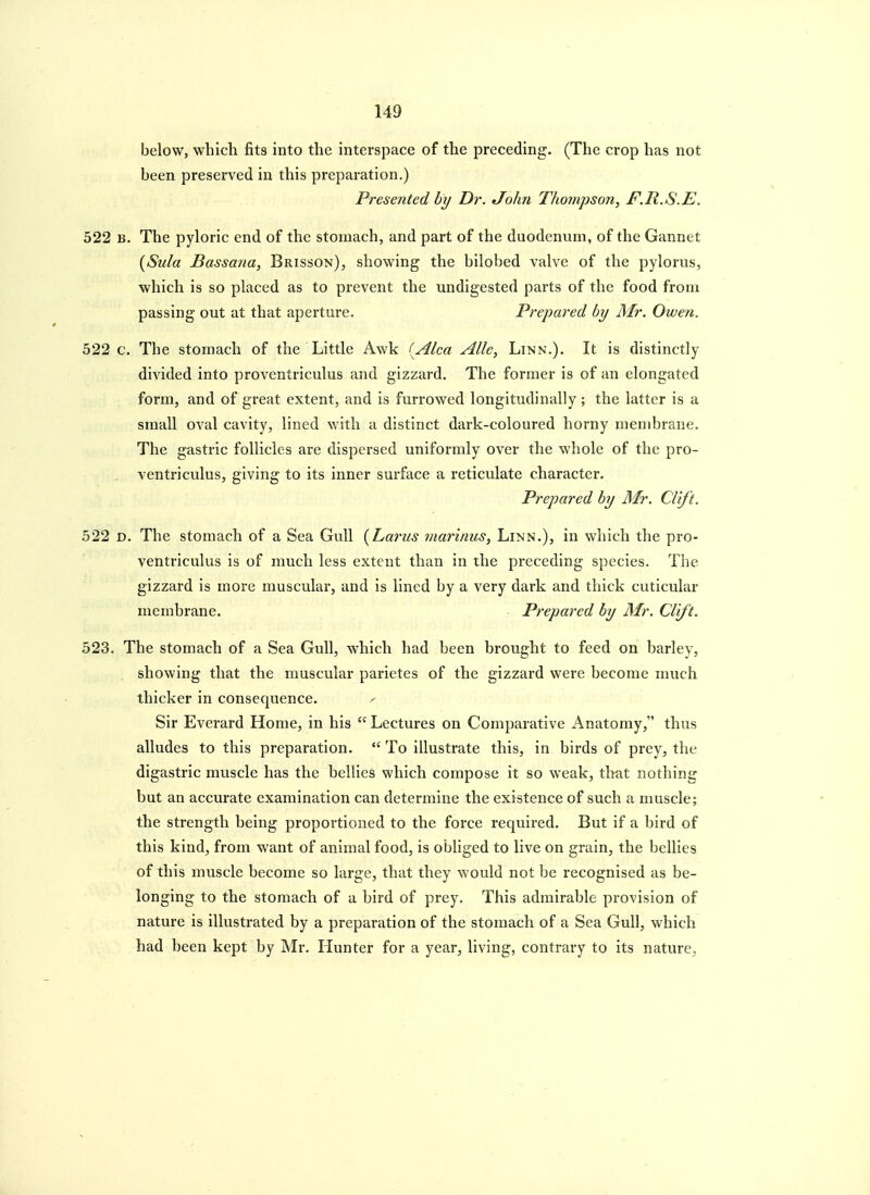 below, which fits into the interspace of the preceding. (The crop has not been preserved in this preparation.) Presented by T)r. John Thompson^ F.R.S.E. 522 B. The pyloric end of the stomach, and part of the duodenum, of the Gannet [Sula Bassana, Brisson), showing the bilobed valve of the pylorus, which is so placed as to prevent the undigested parts of the food from passing out at that aperture. Prepared by Mr. Owen. 522 c. The stomach of the Little Awk {Alca Alle, Linn.). It is distinctly divided into proventriculus and gizzard. The former is of an elongated form, and of great extent, and is furrowed longitudinally ; the latter is a small oval cavity, lined with a distinct dark-coloured horny membrane. The gastric follicles are dispersed uniformly over the whole of the pro- ventriculus, giving to its inner surface a reticulate character. Prepared by Mr. Clif 't. 522 D. The stomach of a Sea Gull {Larus marinus, Linn.), in which the pro- ventriculus is of much less extent than in the preceding species. The gizzard is more muscular, and is lined by a very dark and thick cuticular membrane. Prepared by Mr. Clif't. 523. The stomach of a Sea Gull, which had been brought to feed on barley, showing that the muscular parietes of the gizzard were become much thicker in consecjuence. ^ Sir Everard Home, in his Lectures on Comparative Anatomy, thus alludes to this preparation. To illustrate this, in birds of prey, the digastric muscle has the bellies which compose it so weak, that nothing but an accurate examination can determine the existence of such a muscle; the strength being proportioned to the force required. But if a bird of this kind, from want of animal food, is obliged to live on grain, the bellies of this muscle become so large, that they would not be recognised as be- longing to the stomach of a bird of prey. This admirable provision of nature is illustrated by a preparation of the stomach of a Sea Gull, which had been kept by Mr. Hunter for a year, living, contrary to its nature.