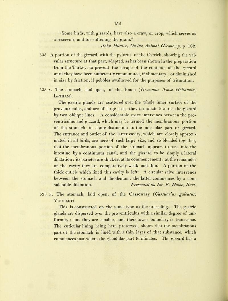 Some birds, with gizzards, have also a craw, or crop, which serves as a reservoir, and for softening the grain. John Hunter^ On the Animal Qi,conomy, p. 182. 533. A portion of the gizzard, with the pylorus, of the Ostrich, showing the val- vular structure at that part, adapted, as has been shown in the preparation from the Turkey, to prevent the escape of the contents of the gizzard until they have been sufficiently comminuted, if alimentary ; or diminished in size by friction, if pebbles swallowed for the purposes of trituration. 533 A. The stomach, laid open, of the Emeu {Dromaius Novai Hollandicc, Latham). The gastric glands are scattered over the whole inner surface of the proventriculus, and are of large size; they terminate towards the gizzard by two oblique lines. A considerable space intervenes between the pro- ventriculus and gizzard, which may be termed the membranous portion of the stomach, in contradistinction to the muscular part or gizzard. The entrance and outlet of the latter cavity, which are closely approxi- mated in all birds, are here of such large size, and so blended together, that the membranous portion of the stomach appears to pass into the intestine by a continuous canal, and the gizzard to be simply a lateral dilatation : its parietes are thickest at its commencement; at the remainder of the cavity they are comparatively weak and thin. A portion of the thick cuticle which lined this cavity is left. A circular valve intervenes between the stomach and duodenum; the latter commences by a con- siderable dilatation. Presented by Sir E. Home, Bart. 533 B. The stomach, laid open, of the Cassowary {Cassuarius galeatus, Vieillot). This is constructed on the same type as the preceding. The gastric glands are dispersed over the proventriculus with a similar degree of uni- formity ; but they are smaller, and their lower boundary is transverse. The cuticular lining being here preserved, shows that the membranous part of the stomach is lined with a thin layer of that substance, which commences just where the glandular part terminates. The gizzard has a