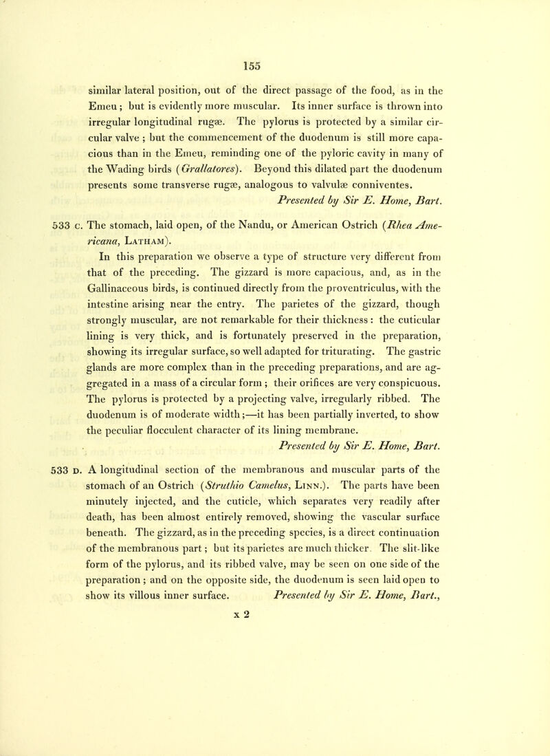 similar lateral position, out of the direct passage of the food, as in the Emeu ; but is evidently more muscular. Its inner surface is thrown into irregular longitudinal rugae. The pylorus is protected by a similar cir- cular valve ; but the commencement of the duodenum is still more capa- cious than in the Emeu, reminding one of the pyloric cavity in many of the Wading birds {Grallatores). Beyond this dilated part the duodenum presents some transverse rugae, analogous to valvulae conniventes. Presented by Sir E. Home, Bart. 533 c. The stomach, laid open, of the Nandu, or American Ostrich {Rhea Ame- ricana, Latham). In this preparation we observe a type of structure very different from that of the preceding. The gizzard is more capacious, and, as in the Gallinaceous birds, is continued directly from the pioventriculus, with the intestine arising near the entry. The parietes of the gizzard, though strongly muscular, are not remarkable for their thickness: the cuticular lining is very thick, and is fortunately preserved in the preparation, showing its irregular surface, so well adapted for triturating. The gastric glands are more complex than in the preceding preparations, and are ag- gregated in a mass of a circular form ; their orifices are very conspicuous. The pylorus is protected by a projecting valve, irregularly ribbed. The duodenum is of moderate width;—it has been partially inverted, to show the peculiar flocculent character of its lining membrane. Presented by Sir E. Home, Bart. 533 D. A longitudinal section of the membranous and muscular parts of the stomach of an Ostrich [Struthio Camelus, Linn.). The parts have been minutely injected, and the cuticle, which separates very readily after death, has been almost entirely removed, showing the vascular surface beneath. The gizzard, as in the preceding species, is a direct continuation of the membranous part; but its parietes are much thicker. The slit-like form of the pylorus, and its ribbed valve, may be seen on one side of the preparation; and on the opposite side, the duodenum is seen laid open to show its villous inner surface. Presented by Sir E. Home, Bart., X 2