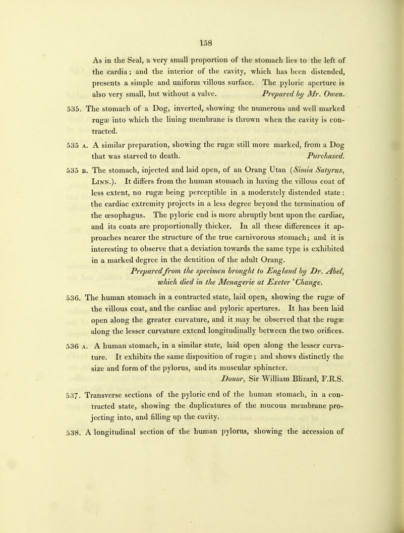 As in the Seal, a very small proportion of the stomach lies to the left of the cardia; and the interior of the cavity, which has been distended, presents a simple and uniform villous surface. The pyloric aperture is also very small, but without a valve. Prepared by Mr. Owen. 535. The stomach of a Dog, inverted, showing the numerous and well marked rugae into which the lining membrane is thrown when the cavity is con- tracted. 535 A. A similar preparation, showing the rugae still more marked, from a Dog that was starved to death. Purchased. 535 B. The stomach, injected and laid open, of an Orang Utan (Simia Satyrus, Linn.). It differs from the human stomach in having the villous coat of less extent, no rugae being perceptible in a moderately distended state : the cardiac extremity projects in a less degree beyond the termination of the oesophagus. The pyloric end is more abruptly bent upon the cardiac, and its coats are proportionally thicker. In all these differences it ap- proaches nearer the structure of the true carnivorous stomach; and it is interesting to observe that a deviation towards the same type is exhibited in a marked degree in the dentition of the adult Orang. Prepared from the specimen brought to England by Dr. Abel, which died in the Menagerie at Exeter ' Change. 536. The human stomach in a contracted state, laid open, showing the rugae of the villous coat, and the cardiac and pyloric apertures. It has been laid open along the greater curvature, and it may be observed that the rugae along the lesser curvature extend longitudinally between the two orifices. 536 A. A human stomach, in a similar state, laid open along the lesser curva- ture. It exhibits the same disposition of rugae ; and shows distinctly the size and form of the pylorus, and its muscular sphincter. Donor, Sir William Blizard, F.R.S. 537. Transverse sections of the pyloric end of the human stomach, in a con- tracted state, showing the duplicatures of the mucous membrane pro- jecting into, and filling up the cavity. 538. A longitudinal section of the human pylorus, showing the accession of