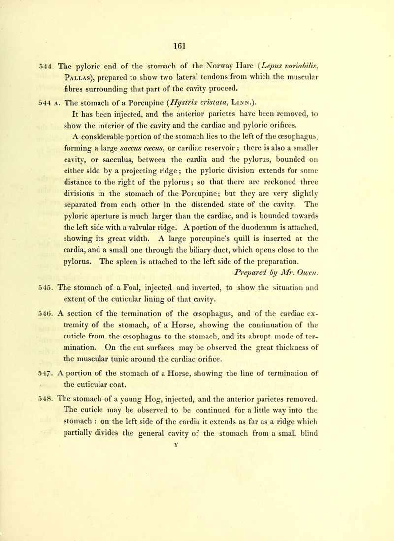 544. The pyloric end of the stomach of the Norway Hare {Lepus variabilis, Pallas), prepared to show two lateral tendons from which the muscular fibres surrounding that part of the cavity proceed. 544 A. The stomach of a Porcupine {Hystrix cristata, Linn.), It has been injected, and the anterior parietes have been removed, to show the interior of the cavity and the cardiac and pyloric orifices. A considerable portion of the stomach lies to the left of the oesophagus^ forming a large saccus cams, or cardiac reservoir ; there is also a smaller cavity, or sacculus, between the cardia and the pylorus, bounded on either side by a projecting ridge ; the pyloric division extends for some distance to the right of the pylorus ; so that there are reckoned three divisions in the stomach of the Porcupine; but they are very slightly separated from each other in the distended state of the cavity. The pyloric aperture is much larger than the cardiac, and is bounded towards the left side with a valvular ridge. A portion of the duodenum is attached, showing its great width. A large porcupine's quill is inserted at the cardia, and a small one through the biliary duct, which opens close to the pylorus. The spleen is attached to the left side of the preparation. Prepared by Mr. Owen. 545. The stomach of a Foal, injected and inverted, to show the situation and extent of the cuticular lining of that cavity. 54(5. A section of the termination of the oesophagus, and of the cardiac ex- tremity of the stomach, of a Horse, showing the continuation of the cuticle from the oesophagus to the stomach, and its abrupt mode of ter- mination. On the cut surfaces may be observed the great thickness of the muscular tunic around the cardiac orifice. 547. A portion of the stomach of a Horse, showing the line of termination of the cuticular coat. 548. The stomach of a young Hog, injected, and the anterior parietes removed. The cuticle may be observed to be continued for a little way into the stomach : on the left side of the cardia it extends as far as a ridge which partially divides the general cavity of the stomach from a small blind