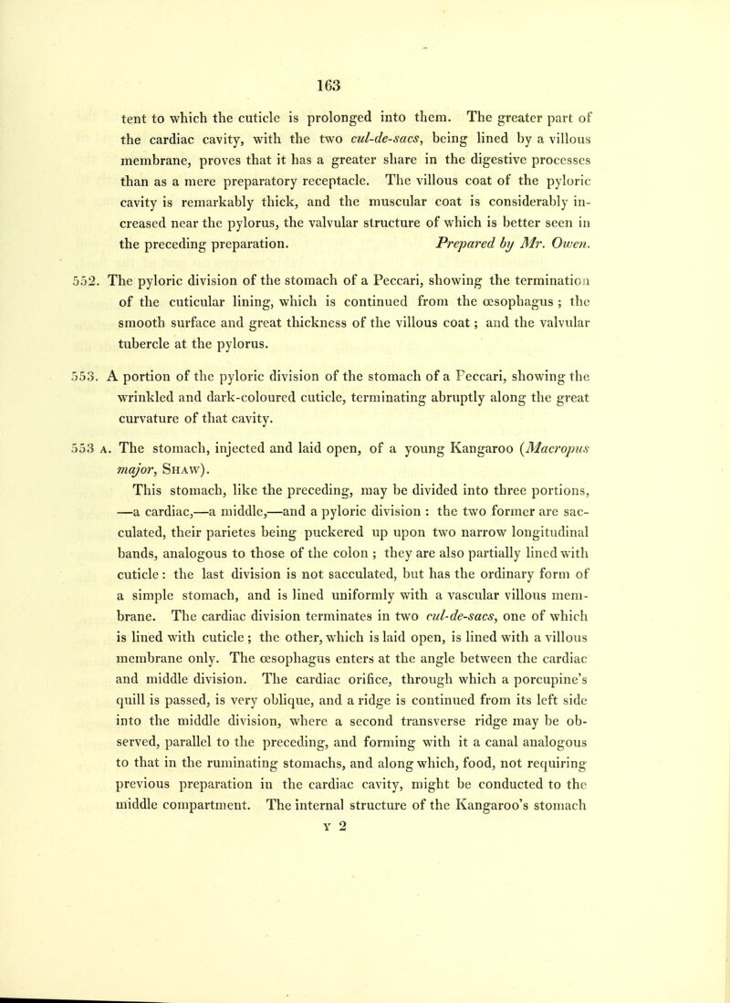 tent to which the cuticle is prolonged into them. The greater part of the cardiac cavity, with the two cul-de-sacs, being lined by a villous membrane, proves that it has a greater share in the digestive processes than as a mere preparatory receptacle. The villous coat of the pyloric cavity is remarkably thick, and the muscular coat is considerably in- creased near the pylorus, the valvular structure of which is better seen in the preceding preparation. Prepared by Mr. Owen. 552. The pyloric division of the stomach of a Peccari, showing the termination of the cuticular lining, which is continued from the oesophagus ; the smooth surface and great thickness of the villous coat; and the valvular tubercle at the pylorus. 553. A portion of the pyloric division of the stomach of a Feccari, showing the wrinkled and dark-coloured cuticle, terminating abruptly along the great curvature of that cavity. 553 A. The stomach, injected and laid open, of a young Kangaroo {Macropus major, Shaw). This stomach, like the preceding, may be divided into three portions, —a cardiac,—a middle,—and a pyloric division : the two former are sac- culated, their parietes being puckered up upon two narrow longitudinal bands, analogous to those of the colon ; they are also partially lined with cuticle: the last division is not sacculated, but has the ordinary form of a simple stomach, and is lined uniformly with a vascular villous mem- brane. The cardiac division terminates in two cul-de-sacs, one of which is lined with cuticle ; the other, which is laid open, is lined with a villous membrane only. The oesophagus enters at the angle between the cardiac and middle division. The cardiac orifice, through which a porcupine's quill is passed, is very oblique, and a ridge is continued from its left side into the middle division, where a second transverse ridge may be ob- served, parallel to the preceding, and forming with it a canal analogous to that in the ruminating stomachs, and along which, food, not requiring previous preparation in the cardiac cavity, might be conducted to the middle compartment. The internal structure of the Kangaroo's stomach Y 2