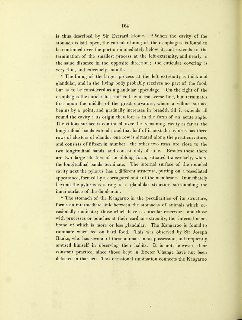 is thus described by Sir Everard Home.  When the cavity of the stomach is laid open, the cuticular hning of the oesophagus is found to be continued over the portion immediately below it, and extends to the termination of the smallest process at the left extremity, and nearly to the same distance in the opposite direction; the cuticular covering is very thin, and extremely smooth.  The lining of the larger process at the left extremity is thick and glandular, and in the living body probably receives no part of the food, but is to be considered as a glandular appendage. On the right of the oesophagus the cuticle does not end by a transverse line, but terminates first upon the middle of the great curvature, where a villous surface begins by a point, and gradually increases in breadth till it extends all round the cavity : its origin therefore is in the form of an acute angle. The villous surface is continued over the remaining cavity as far as the longitudinal bands extend : and that half of it next the pylorus has three rows of clusters of glands; one row is situated along the great curvature, and consists of fifteen in number; the other two rows are close to the two longitudinal bands, and consist only of nine. Besides these there are two large clusters of an oblong form, situated transversely, where the longitudinal bands terminate. The internal surface of the rounded cavity next the pylorus has a different structure, putting on a tessellated appearance, formed by a corrugated state of the membrane. Immediately beyond the pylorus is a ring of a glandular structure surrounding the inner surface of the duodenum,  The stomach of the Kangaroo in the peculiarities of its structure, forms an intermediate link between the stomachs of animals which oc- casionally ruminate ; those which have a cuticular reservoir ; and those with processes or pouches at their cardiac extremity, the internal mem- brane of which is more or less glandular. The Kangaroo is found to ruminate when fed on hard food. This was observed by Sir Joseph Banks, who has several of these animals in his possession, and frequently amused himself in observing their habits. It is not, however, their constant practice, since those kept in Exeter 'Change have not been detected in that act. This occasional rumination connects the Kangaroo