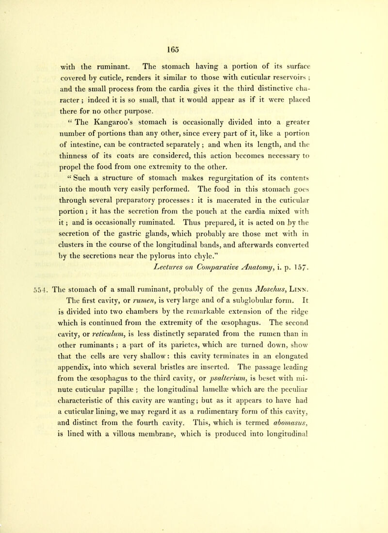 with the ruminant. The stomach having a portion of its surface covered by cuticle, renders it similar to those with cuticular reservoirs ; and the small process from the cardia gives it the third distinctive cha- racter ; indeed it is so small, that it would appear as if it were placed there for no other purpose. The Kangaroo's stomach is occasionally divided into a greater number of portions than any other, since every part of it, like a portion of intestine, can be contracted separately; and when its length, and the thinness of its coats are considered, this action becomes necessary to propel the food from one extremity to the other. Such a structure of stomach makes regurgitation of its contents into the mouth very easily performed. The food in this stomach goes through several preparatory processes: it is macerated in the cuticular portion; it has the secretion from the pouch at the cardia mixed with it; and is occasionally ruminated. Thus prepared, it is acted on by the secretion of the gastric glands, which probably are those met with in clusters in the course of the longitudinal bands, and afterwards converted by the secretions near the pylorus into chyle. Lectures on Comparative Anatomy, i. p. 157- 554. The stomach of a small ruminant, probably of the genus Moschns, Linn. The first cavity, or rumen, is very large and of a subglobular form. It is divided into two chambers by the remarkable extension of the ridge which is continued from the extremity of the oesophagus. The second cavity, or reticulum, is less distinctly separated from the rumen than in other ruminants ; a part of its parietes, which are turned down, show that the cells are very shallow: this cavity terminates in an elongated appendix, into which several bristles are inserted. The passage leading from the oesophagus to the third cavity, or ipsalterium, is beset with mi- nute cuticular papillae ; the longitudinal lamellae which are the peculiar characteristic of this cavity are wanting; but as it appears to have had a cuticular lining, we may regard it as a rudimentary form of this cavity, and distinct from the fourth cavity. This, which is termed abomasus, is lined with a villous membrane, which is produced into longitudinal