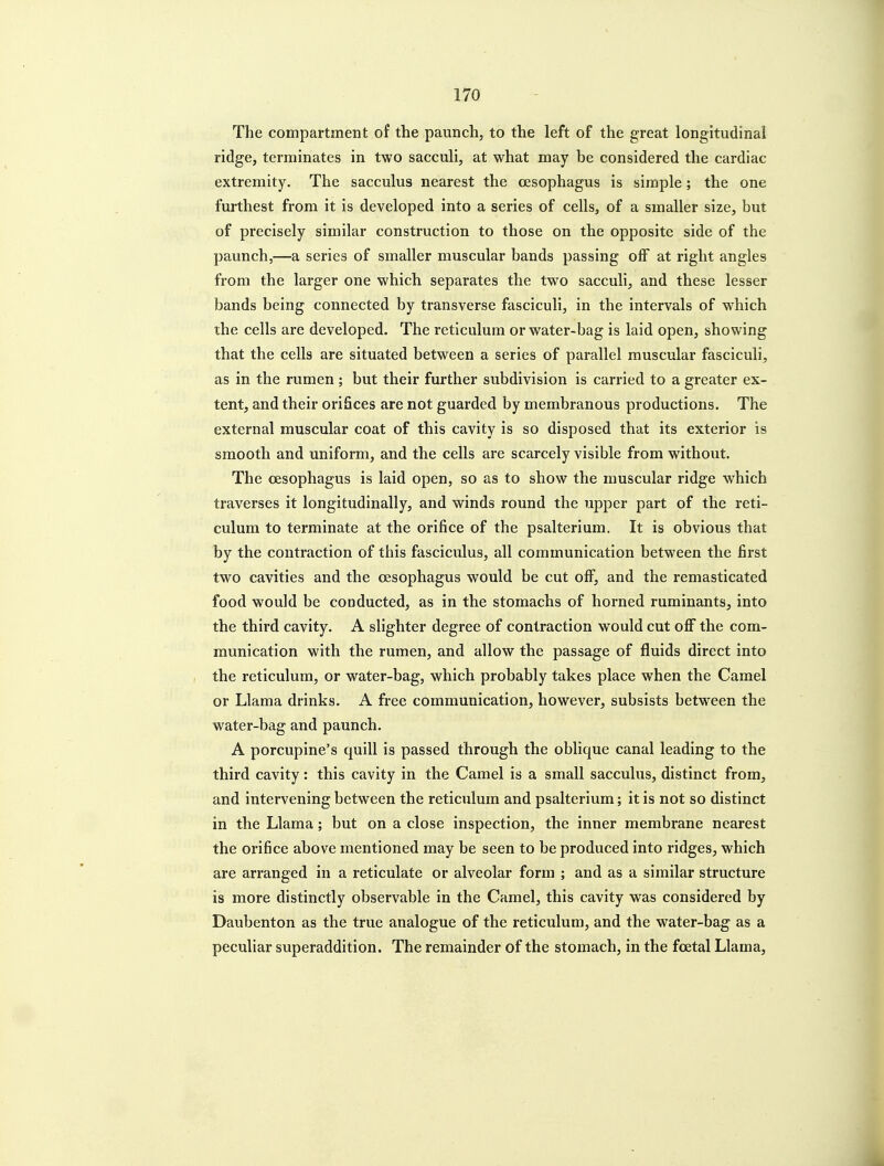 The compartment of the paunch, to the left of the great longitudinal ridge, terminates in two sacculi, at what may be considered the cardiac extremity. The sacculus nearest the oesophagus is simple; the one furthest from it is developed into a series of cells, of a smaller size, but of precisely similar construction to those on the opposite side of the paunch,—a series of smaller muscular bands passing off at right angles from the larger one which separates the two sacculi, and these lesser bands being connected by transverse fasciculi, in the intervals of which the cells are developed. The reticulum or water-bag is laid open, showing that the cells are situated between a series of parallel muscular fasciculi, as in the rumen ; but their further subdivision is carried to a greater ex- tent, and their orifices are not guarded by membranous productions. The external muscular coat of this cavity is so disposed that its exterior is smooth and uniform, and the cells are scarcely visible from without. The oesophagus is laid open, so as to show the muscular ridge which traverses it longitudinally, and winds round the upper part of the reti- culum to terminate at the orifice of the psalterium. It is obvious that by the contraction of this fasciculus, all communication between the first two cavities and the oesophagus would be cut off, and the remasticated food would be conducted, as in the stomachs of horned ruminants, into the third cavity. A slighter degree of contraction would cut off the com- munication with the rumen, and allow the passage of fluids direct into the reticulum, or water-bag, which probably takes place when the Camel or Llama drinks. A free communication, however, subsists between the water-bag and paunch. A porcupine's quill is passed through the oblique canal leading to the third cavity: this cavity in the Camel is a small sacculus, distinct from, and intervening between the reticulum and psalterium; it is not so distinct in the Llama; but on a close inspection, the inner membrane nearest the orifice above mentioned may be seen to be produced into ridges, which are arranged in a reticulate or alveolar form ; and as a similar structure is more distinctly observable in the Camel, this cavity was considered by Daubenton as the true analogue of the reticulum, and the water-bag as a peculiar superaddition. The remainder of the stomach, in the foetal Llama,