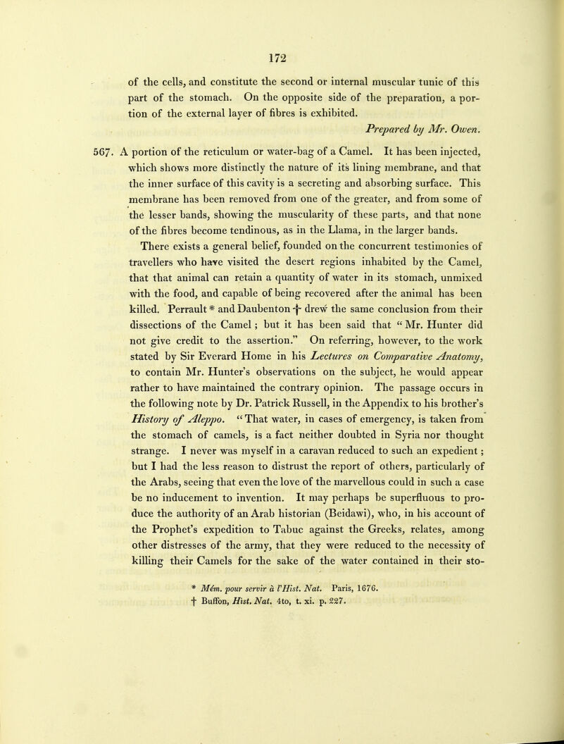of the cells, and constitute the second or internal muscular tunic of this part of the stomach. On the opposite side of the preparation, a por- tion of the external layer of fibres is exhibited. Prepared by Mr. Owen. 567- A portion of the reticulum or water-bag of a Camel. It has been injected, which shows more distinctly the nature of its lining membrane, and that the inner surface of this cavity is a secreting and absorbing surface. This membrane has been removed from one of the greater, and from some of th6 lesser bands, showing the muscularity of these parts, and that none of the fibres become tendinous, as in the Llama, in the larger bands. There exists a general belief, founded on the concurrent testimonies of travellers who have visited the desert regions inhabited by the Camel, that that animal can retain a quantity of water in its stomach, unmixed with the food, and capable of being recovered after the animal has been killed. Perrault * and Daubenton \ drew the same conclusion from their dissections of the Camel; but it has been said that Mr. Hunter did not give credit to the assertion. On referring, however, to the work stated by Sir Everard Home in his Lectures on Comparative Anatomy, to contain Mr. Hunter's observations on the subject, he would appear rather to have maintained the contrary opinion. The passage occurs in the following note by Dr. Patrick Russell, in the Appendix to his brother's History of Aleppo. That water, in cases of emergency, is taken from the stomach of camels, is a fact neither doubted in Syria nor thought strange. I never was myself in a caravan reduced to such an expedient; but I had the less reason to distrust the report of others, particularly of the Arabs, seeing that even the love of the marvellous could in such a case be no inducement to invention. It may perhaps be superfluous to pro- duce the authority of an Arab historian (Beidawi), who, in his account of the Prophet's expedition to Tabuc against the Greeks, relates, among other distresses of the army, that they were reduced to the necessity of killing their Camels for the sake of the water contained in their sto- * Mim. pour serv'ir a VHist. Nat, Paris, 1676. t Buffon, Hist. Nat. 4to, t. xi. p. 227.