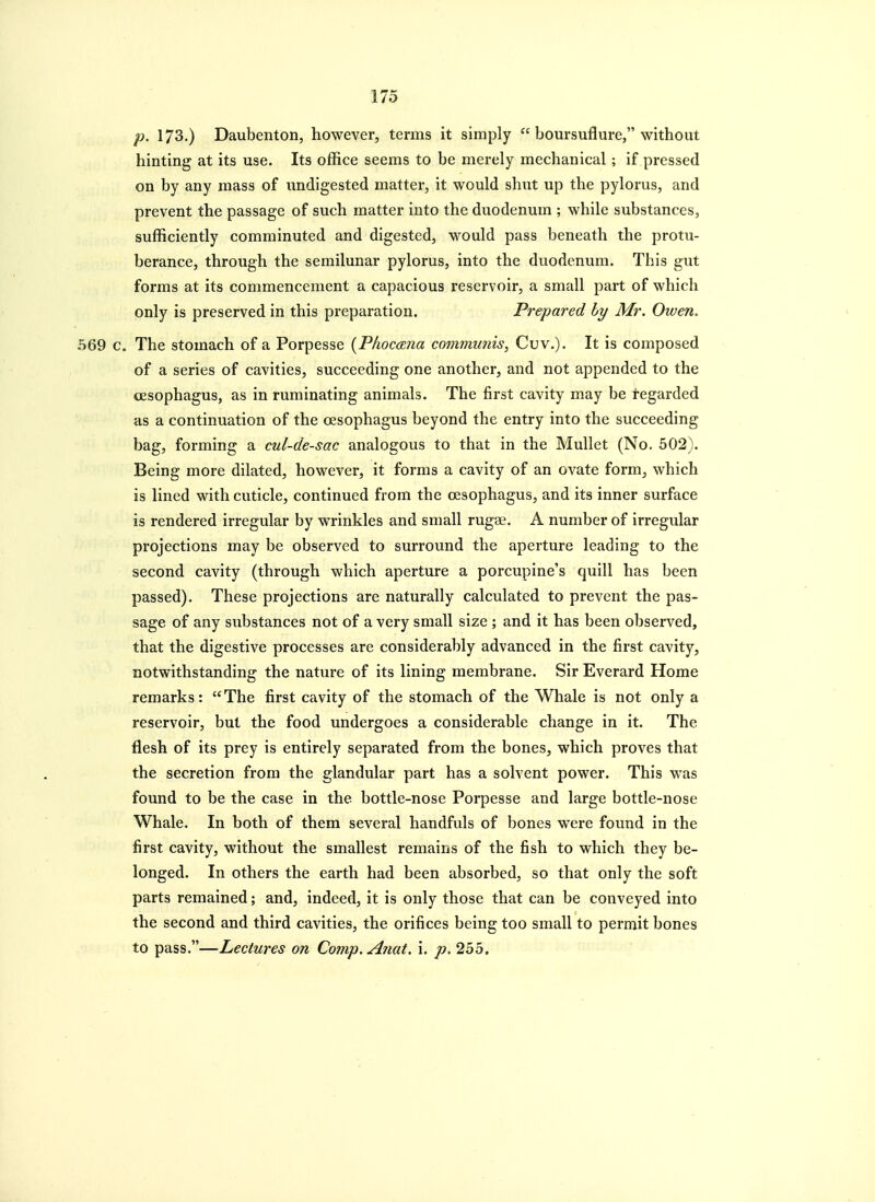 p. 173.) Daubenton, however, terms it simply  boursuflure, without hinting at its use. Its office seems to be merely mechanical; if pressed on by any mass of undigested matter, it would shut up the pylorus, and prevent the passage of such matter into the duodenum ; while substances, sufficiently comminuted and digested, would pass beneath the protu- berance, through the semilunar pylorus, into the duodenum. This gut forms at its commencement a capacious reservoir, a small part of which only is preserved in this preparation. Prepared by Mr. Oiven. 569 c. The stomach of a Porpesse {PfioccEna communis, Cuv.). It is composed of a series of cavities, succeeding one another, and not appended to the cesophagus, as in ruminating animals. The first cavity may be regarded as a continuation of the oesophagus beyond the entry into the succeeding bag, forming a cul-de-sac analogous to that in the Mullet (No. 502). Being more dilated, however, it forms a cavity of an ovate form, which is lined with cuticle, continued from the oesophagus, and its inner surface is rendered irregular by wrinkles and small rugae. A number of irregular projections may be observed to surround the aperture leading to the second cavity (through which aperture a porcupine's quill has been passed). These projections are naturally calculated to prevent the pas- sage of any substances not of a very small size ; and it has been observed, that the digestive processes are considerably advanced in the first cavity, notwithstanding the nature of its lining membrane. Sir Everard Home remarks: The first cavity of the stomach of the Whale is not only a reservoir, but the food undergoes a considerable change in it. The flesh of its prey is entirely separated from the bones, which proves that the secretion from the glandular part has a solvent power. This was found to be the case in the bottle-nose Porpesse and large bottle-nose Whale. In both of them several handfuls of bones were found in the first cavity, without the smallest remains of the fish to which they be- longed. In others the earth had been absorbed, so that only the soft parts remained; and, indeed, it is only those that can be conveyed into the second and third cavities, the orifices being too small to permit bones to pass.—Lectures on Comp. A?iat. i. p. 255.