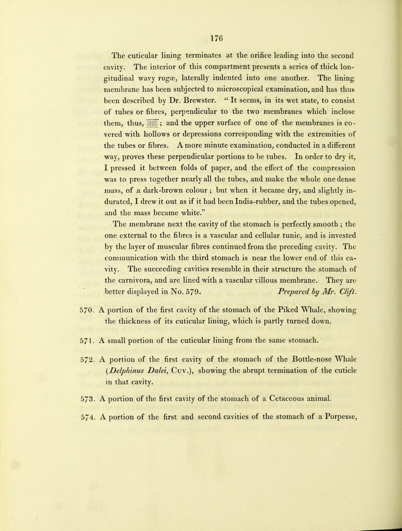 The cuticular lining terminates at the orifice leading into the second cavity. The interior of this compartment presents a series of thick lon- gitudinal wavy rugae, laterally indented into one another. The lining membrane has been subjected to microscopical examination, and has thus been described by Dr, Brewster.  It seems, in its wet state, to consist of tubes or fibres, perpendicular to the two membranes which inclose them, thus, H||||||H'; and the upper surface of one of the membranes is co- vered with hollows or depressions corresponding with the extremities of the tubes or fibres. A more minute examination, conducted in a different way, proves these perpendicular portions to be tubes. In order to dry it, I pressed it between folds of paper, and the effect of the compression was to press together nearly all the tubes, and make the whole one dense mass, of a dark-brown colour ; but when it became dry, and slightly in- durated, I drew it out as if it had been India-rubber, and the tubes opened, ; and the mass became white. The membrane next the cavity of the stomach is perfectly smooth ; the one external to the fibres is a vascular and cellular tunic, and is invested by the layer of muscular fibres continued from the preceding cavity. The communication with the third stomach is near the lower end of this ca- vity. The succeeding cavities resemble in their structure the stomach of the carnivora, and are lined with a vascular villous membrane. They are better displayed in No. 579. Prepared by Mr. Clift. 570. A portion of the first cavity of the stomach of the Piked Whale, showing the thickness of its cuticular lining, which is partly turned down. 571- A small portion of the cuticular lining from the same stomach. 572. A portion of the first cavity of the stomach of the Bottle-nose Whale {Delphinus Dalei, Cuv.), showing the abrupt termination of the cuticle in that cavity. 573. A portion of the first cavity of the stomach of a Cetaceous animal. 574. A portion of the first and second cavities of the stomach of a Porpesse,