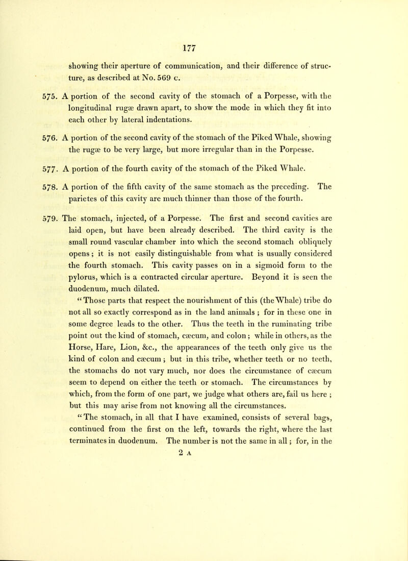 showing their aperture of communication^ and their difference of struc- ture, as described at No. 569 c. 575. A portion of the second cavity of the stomach of a Porpesse, with the longitudinal rugae drawn apart, to show the mode in which they fit into each other by lateral indentations. 576. A portion of the second cavity of the stomach of the Piked Whale, showing the rugae to be very large, but more irregular than in the Porpesse. 577. A portion of the fourth cavity of the stomach of the Piked Whale. 578. A portion of the fifth cavity of the same stomach as the preceding. The parietes of this cavity are much thinner than those of the fourth. 579. The stomach, injected, of a Porpesse. The first and second cavities are laid open, but have been already described. The third cavity is the small round vascular chamber into which the second stomach obliquely opens ; it is not easily distinguishable from what is usually considered the fourth stomach. This cavity passes on in a sigmoid form to the pylorus, which is a contracted circular aperture. Beyond it is seen the duodenum, much dilated. Those parts that respect the nourishment of this (theWhale) tribe do not all so exactly correspond as in the land animals ; for in these one in some degree leads to the other. Thus the teeth in the ruminating tribe point out the kind of stomach, caecum, and colon; while in others, as the Horse, Hare, Lion, &c., the appearances of the teeth only give us the kind of colon and caecum ; but in this tribe, whether teeth or no teeth, the stomachs do not vary much, nor does the circumstance of caecum seem to depend on either the teeth or stomach. The circumstances by which, from the form of one part, we judge what others are, fail us here ; but this may arise from not knowing all the circumstances. The stomach, in all that I have examined, consists of several bags, continued from the first on the left, towards the right, where the last terminates in duodenum. The number is not the same in all; for, in the 2 A