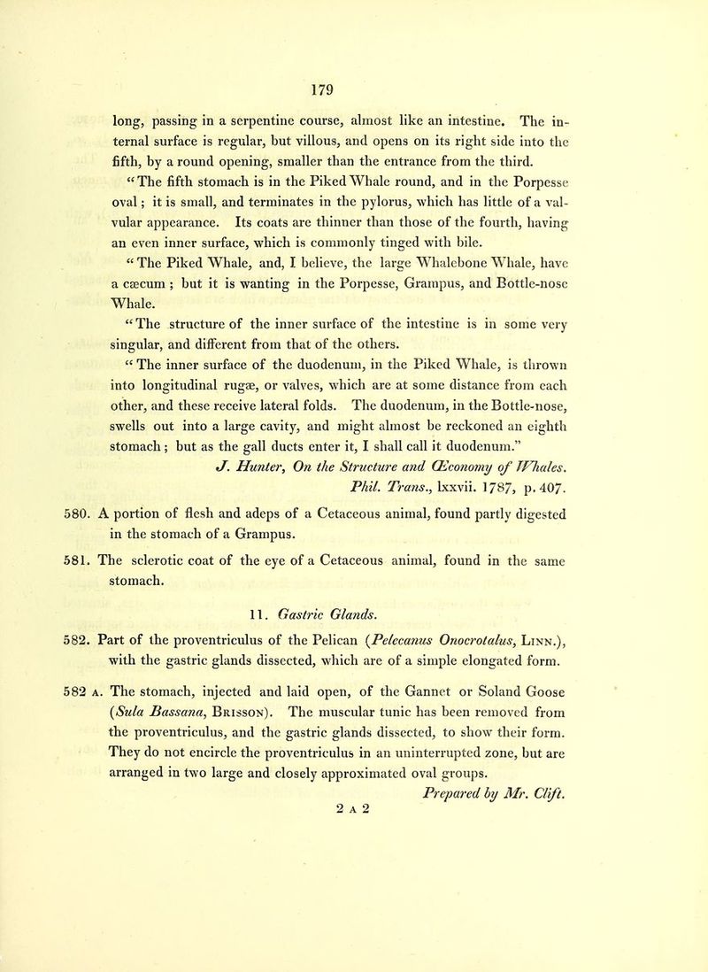 long, passing in a serpentine course, almost like an intestine. The in- ternal surface is regular, but villous, and opens on its right side into the fifth, by a round opening, smaller than the entrance from the third. The fifth stomach is in the Piked Whale round, and in the Porpesse oval; it is small, and terminates in the pylorus, which has little of a val- vular appearance. Its coats are thinner than those of the fourth, having an even inner surface, which is commonly tinged with bile. The Piked Whale, and, I believe, the large Whalebone Whale, have a CEECum ; but it is wanting in the Porpesse, Grampus, and Bottle-nose Whale. The structure of the inner surface of the intestine is in some very singular, and different from that of the others. The inner surface of the duodenum, in the Piked Whale, is thrown into longitudinal rugae, or valves, which are at some distance from each other, and these receive lateral folds. The duodenum, in the Bottle-nose, swells out into a large cavity, and might almost be reckoned an eighth stomach; but as the gall ducts enter it, I shall call it duodenum. J. Hunter, On the Structure and CEconomy of TVhales. Phil. Trans., Ixxvii. 1787, p. 40/. 580. A portion of flesh and adeps of a Cetaceous animal, found partly digested in the stomach of a Grampus. 581. The sclerotic coat of the eye of a Cetaceous animal, found in the same stomach. 11. Gastric Glands. 582. Part of the proventriculus of the Pelican {Pelecanus Onocrotalus, Linn.), with the gastric glands dissected, which are of a simple elongated form. 582 A. The stomach, injected and laid open, of the Gannet or Soland Goose {Sula Bassana, Brisson). The muscular tunic has been removed from the proventriculus, and the gastric glands dissected, to show their form. They do not encircle the proventriculus in an uninterrupted zone, but are arranged in two large and closely approximated oval groups. Prepared by Mr. Clift. 2 A 2