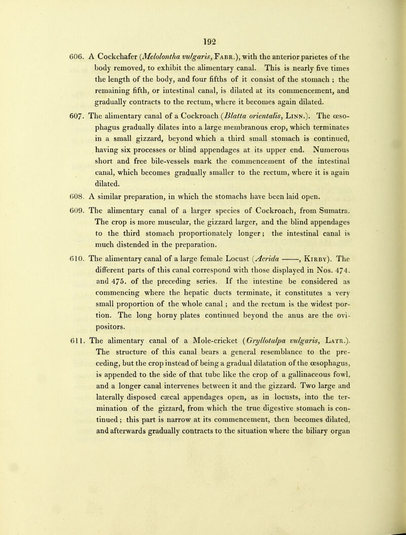 606. A Cockchafer {Melolontha vulgaris, Fabr.), with the anterior parietes of the body removed^ to exhibit the ahmentary canal. This is nearly five times the length of the body, and four fifths of it consist of the stomach ; the remaining fifth, or intestinal canal, is dilated at its commencement, and gradually contracts to the rectum, where it becomes again dilated. 607. The alimentary canal of a Cockroach {Blatta orientalis, Linn.). The oeso- phagus gradually dilates into a large membranous crop, which terminates in a small gizzard, beyond which a third small stomach is continued, having six processes or blind appendages at its upper end. Numerous short and free bile-vessels mark the commencement of the intestinal canal, which becomes gradually smaller to the rectum, where it is again dilated. 608. A similar preparation, in which the stomachs have been laid open. 609. The alimentary canal of a larger species of Cockroach, from Sumatra. The crop is more muscular, the gizzard larger, and the blind appendages to the third stomach proportionately longer; tlie intestinal canal is much distended in the preparation. 610. The alimentary canal of a large female Locust {Acr'ida , Kirbv). The different parts of this canal correspond with those displayed in Nos. 474. and 475. of the preceding series. If the intestine be considered as commencing where the hepatic ducts terminate, it constitutes a very small proportion of the whole canal; and the rectum is the widest por- tion. The long horny plates continued beyond the anus are the ovi- positors. 611. The alimentary canal of a Mole-cricket {Gryllotalpa vulgaris, Latr.). The structure of this canal bears a general resemblance to the pre- ceding, but the crop instead of being a gradual dilatation of the oesophagus, is appended to the side of that tube like the crop of a gallinaceous fowl, and a longer canal intervenes between it and the gizzard. Two large and laterally disposed caecal appendages open, as in locusts, into the ter- mination of the gizzard, from which the true digestive stomach is con- tinued ; this part is narrow at its commencement, then becomes dilated, and afterwards gradually contracts to the situation where the biliary organ