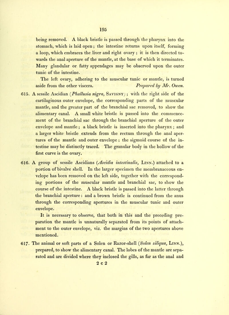 being removed. A black bristle is passed through the pharynx into the stomach, which is laid open; the intestine returns upon itself, forming a loop, which embraces the liver and right ovary ; it is then directed to- wards the anal aperture of the mantle, at the base of which it terminates. Many glandular or fatty appendages may be observed upon the outer tunic of the intestine. The left ovary, adhering to the muscular tunic or mantle, is turned aside from the other viscera. Prepared by Mr. Owen. 615. A sessile Ascidian {Phallusia nigra, Savigny; ; with the right side of the cartilaginous outer envelope, the corresponding parts of the muscular mantle, and the greater part of the branchial sac removed, to show the alimentary canal. A small white bristle is passed into the commence- ment of the branchial sac through the branchial aperture of the outer envelope and mantle ; a black bristle is inserted into the pharynx ; and a larger white bristle extends from the rectum through the anal aper- tures of the mantle and outer envelope ; the sigmoid course of the in- testine may be distinctly traced. The granular body in the hollow of the first curve is the ovary, 616. A group of sessile Ascidians {Ascidia intestmalis. Linn.) attached to a portion of bivalve shell. In the larger specimen the membranaceous en- velope has been removed on the left side, together with the correspond- ing portions of the muscular mantle and branchial sac, to show the course of the intestine. A black bristle is passed into the latter through the branchial aperture: and a brown bristle is continued from the anus through the corresponding apertures in the muscular tunic and outer envelope. It is necessary to observe, that both in this and the preceding pre- paration the mantle is unnaturally separated from its points of attach- ment to the outer envelope, viz. the margins of the two apertures above mentioned. 617- The animal or soft parts of a Solen or Razor-shell (Solen siliqua, Linn.), prepared, to show the alimentary canal. The lobes of the mantle are sepa- rated and are divided where they inclosed the gills, as far as the anal and 2 c 2