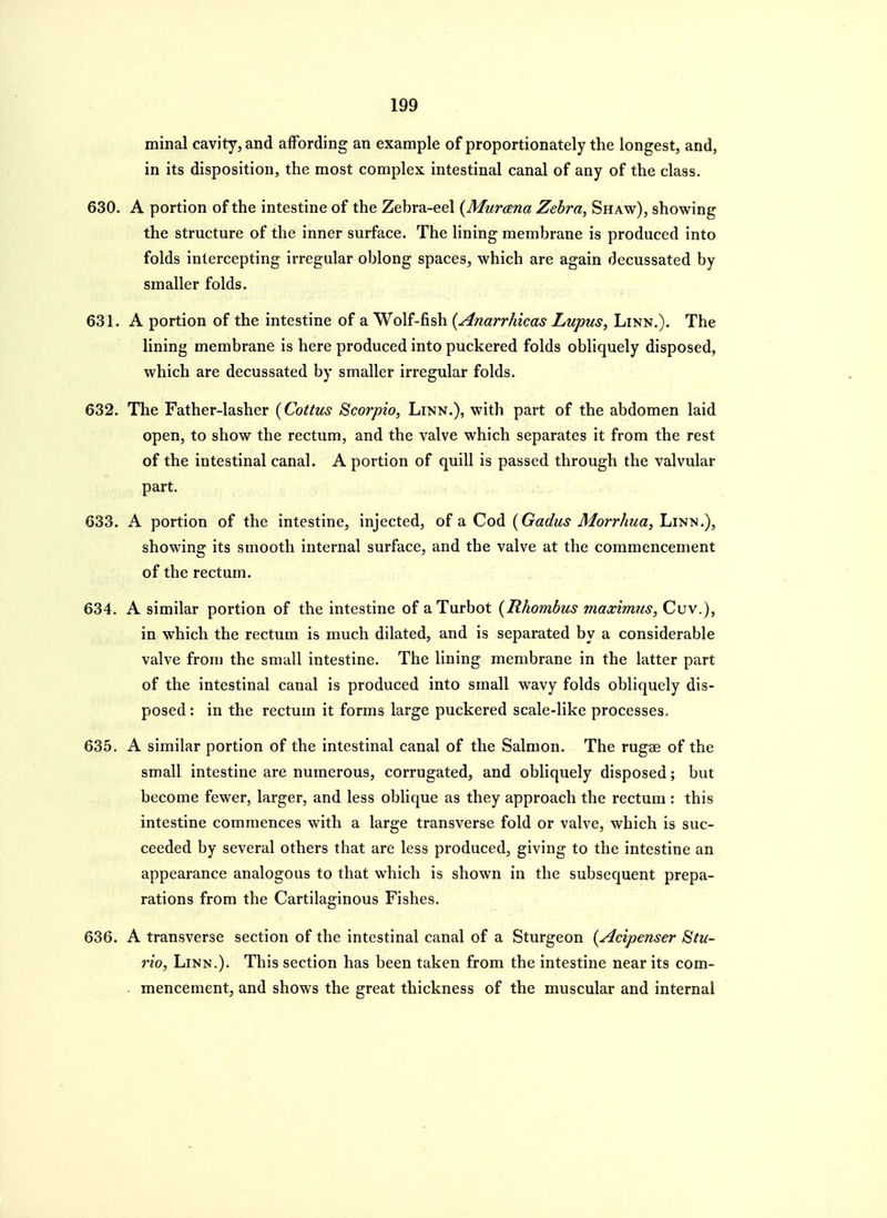 minal cavity, and affording an example of proportionately the longest, and, in its disposition, the most complex intestinal canal of any of the class. 630. A portion of the intestine of the Zebra-eel {Murana Zebra, Shaw), showing the structure of the inner surface. The lining membrane is produced into folds intercepting irregular oblong spaces, which are again decussated by smaller folds. 631. A portion of the intestine of a Wolf-fish {Anarrhicas Lupus^ Linn.). The lining membrane is here produced into puckered folds obliquely disposed, which are decussated by smaller irregular folds. 632. The Father-lasher {Cottus Scorpio, Linn.), with part of the abdomen laid open, to show the rectum, and the valve which separates it from the rest of the intestinal canal. A portion of quill is passed through the valvular part. 633. A portion of the intestine, injected, of a Cod {Gadus Morrhua, Linn.), showing its smooth internal surface, and the valve at the commencement of the rectum. 634. A similar portion of the intestine of aTurbot {Rhombus maximus, Cuv.), in which the rectum is much dilated, and is separated by a considerable valve from the small intestine. The lining membrane in the latter part of the intestinal canal is produced into small wavy folds obliquely dis- posed: in the rectum it forms large puckered scale-like processes. 635. A similar portion of the intestinal canal of the Salmon. The rugae of the small intestine are numerous, corrugated, and obliquely disposed; but become fewer, larger, and less oblique as they approach the rectum : this intestine commences with a large transverse fold or valve, which is suc- ceeded by several others that are less produced, giving to the intestine an appearance analogous to that which is shown in the subsequent prepa- rations from the Cartilaginous Fishes. 636. A transverse section of the intestinal canal of a Sturgeon {Acipenser 8iu~ rio, Linn.). This section has been taken from the intestine near its com- mencement, and shows the great thickness of the muscular and internal