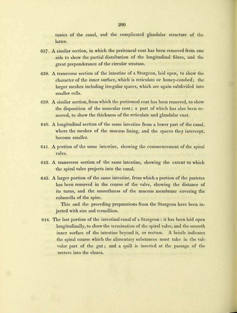 tunics of the canal, and the complicated glandular structure of the latter. 637. A similar section, in which the peritoneal coat has been removed from one side to show the partial distribution of the longitudinal fibres, and the great preponderance of the circular stratum. 638. A transverse section of the intestine of a Sturgeon, laid open, to show the character of the inner surface, which is reticulate or honey-combed; the larger meshes including irregular spaces, which are again subdivided into smaller cells. 639. A similar section, from which the peritoneal coat has been removed, to show the disposition of the muscular coat; a part of which has also been re- moved, to show the thickness of the reticulate and glandular coat. 640. A longitudinal section of the same intestine from a lower part of the canal, where the meshes of the mucous lining, and the spaces they intercept, become smaller. 641. A portion of the same intestine, showing the commencement of the spiral valve. 642. A transverse section of the same intestine, showing the extent to which the spiral valve projects into the canal. 643. A larger portion of the same intestine, from which a portion of the parietes has been removed in the course of the valve, showing the distance of its turns, and the smoothness of the mucous membrane covering the columella of the spire. This and the preceding preparations from the Sturgeon have been in- jected with size and vermillion. 644. The last portion of the intestinal canal of a Sturgeon : it has been laid open longitudinally, to show the termination of the spiral valve, and the smooth inner surface of the intestine beyond it, or rectum. A bristle indicates the spiral course which the alimentary substances must take in the val- vular part of the gut; and a quill is inserted at the passage of the ureters into the cloaca.