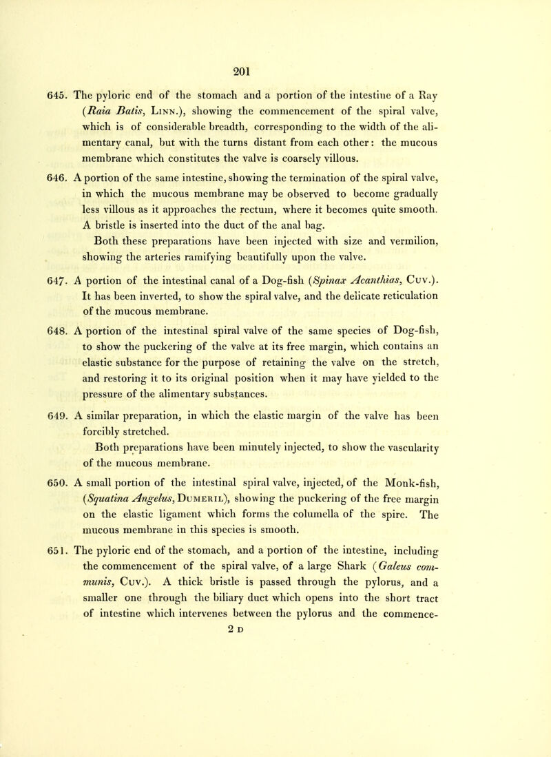 645. The pyloric end of the stomach and a portion of the intestine of a Ray {Raia Batis, Linn.), showing the commencement of the spiral valve, which is of considerable breadth, corresponding to the width of the ali- mentary canal, but with the turns distant from each other: the mucous membrane which constitutes the valve is coarsely villous. 646. A portion of the same intestine, showing the termination of the spiral valve, in which the mucous membrane may be observed to become gradually less villous as it approaches the rectum, where it becomes quite smooth. A bristle is inserted into the duct of the anal bag. Both these preparations have been injected with size and vermilion, showing the arteries ramifying beautifully upon the valve. 647- A portion of the intestinal canal of a Dog-fish {Spinax Acanthias, Cuv.). It has been inverted, to show the spiral valve, and the delicate reticulation of the mucous membrane. 648. A portion of the intestinal spiral valve of the same species of Dog-fish, to show the puckering of the valve at its free margin, which contains an elastic substance for the purpose of retaining the valve on the stretch, and restoring it to its original position when it may have yielded to the pressure of the alimentary substances. 649. A similar preparation, in which the elastic margin of the valve has been forcibly stretched. Both preparations have been minutely injected, to show the vascularity of the mucous membrane. 650. A small portion of the intestinal spiral valve, injected, of the Monk-fish, [Squatina Angelus, Dvmekil), showing the puckering of the free margin on the elastic ligament which forms the columella of the spire. The mucous membrane in this species is smooth. 651. The pyloric end of the stomach, and a portion of the intestine, including the commencement of the spiral valve, of a large Shark (Galeus com- munis, Cuv.). A thick bristle is passed through the pylorus, and a smaller one through the biliary duct which opens into the short tract of intestine which intervenes between the pylorus and the commence-