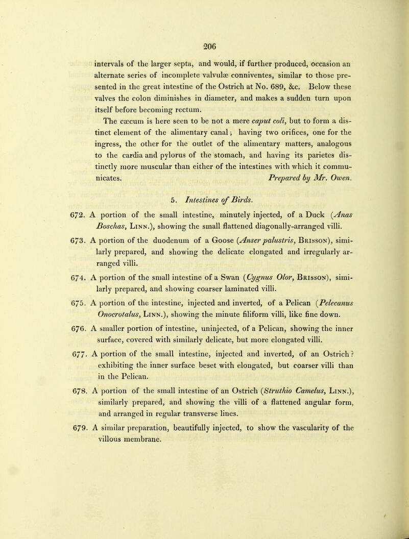 intervals of the larger septa, and would, if further produced, occasion an alternate series of incomplete valvulae conniventes, similar to those pre- sented in the great intestine of the Ostrich at No. 689, &c. Below these valves the colon diminishes in diameter, and makes a sudden turn upon itself before becoming rectum. The caecum is here seen to be not a mere caput colt, but to form a dis- tinct element of the alimentary canal; having two orifices, one for the ingress, the other for the outlet of the alimentary matters, analogous to the cardia and pylorus of the stomach, and having its parietes dis- tinctly more muscular than either of the intestines with which it commu- nicates. Prepared by Mr. Owen. 5. Intestines of Birds. 672. A portion of the small intestine, minutely injected, of a Duck {Anas Boschas, Linn.), showing the small flattened diagonally-arranged villi. 673. A portion of the duodenum of a Goose {Anser palustris, Brisson), simi- larly prepared, and showing the delicate elongated and irregularly ar- ranged villi. 674. A portion of the small intestine of a Swan {Cygnus Olor, Brisson), simi- larly prepared, and showing coarser laminated villi. 675. A portion of the intestine, injected and inverted, of a Pelican {JPelecanus Onocrotalus, Linn.), showing the minute filiform villi, like fine down. 676. A smaller portion of intestine, uninjected, of a Pelican, showing the inner surface, covered with similarly delicate, but more elongated villi. 677- A portion of the small intestine, injected and inverted, of an Ostrich ? exhibiting the inner surface beset with elongated, but coarser villi than in the Pelican. 678. A portion of the small intestine of an Ostrich (Struthio Camelus, Linn.), similarly prepared, and showing the villi of a flattened angular form, and arranged in regular transverse lines. 679. A similar preparation, beautifully injected, to show the vascularity of the villous membrane.