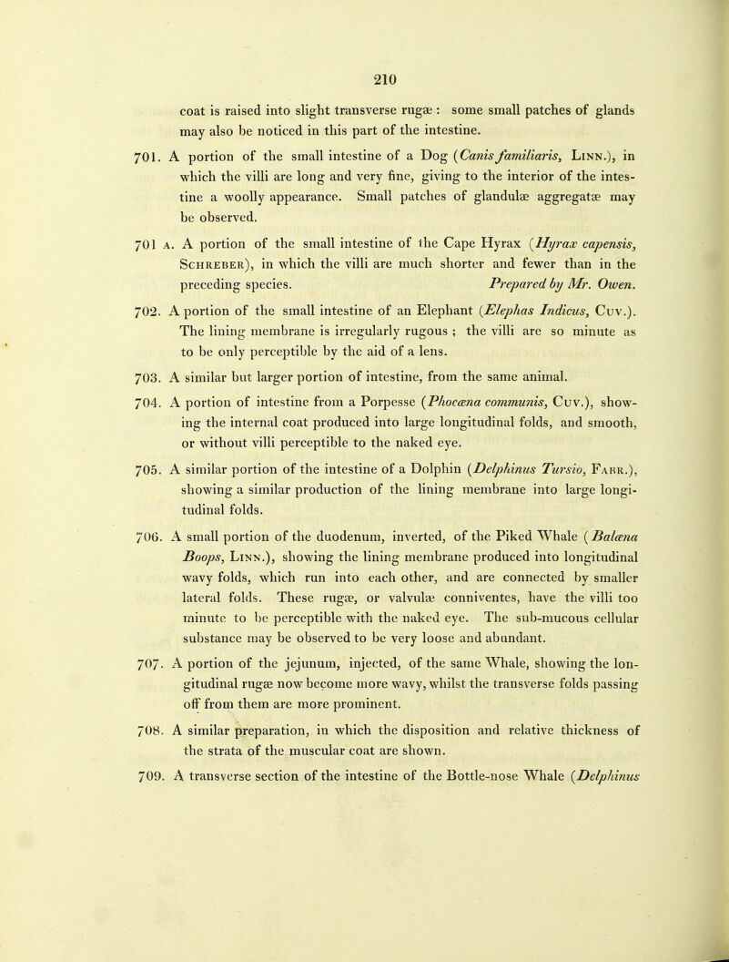 coat is raised into slight transverse rugae : some small patches of glands may also be noticed in this part of the intestine. 701. A portion of the small intestine of a Dog [Canisfamiliaris. Linn.), in which the villi are long and very fine, giving to the interior of the intes- tine a woolly appearance. Small patches of glandulse aggregatse may be observed, 701 A. A portion of the small intestine of the Cape Hyrax {Hyraw capensis, Schreber), in which the villi are much shorter and fewer than in the preceding species. Prepared by Mr. Owen. 702. A portion of the small intestine of an Elephant {Elephas Indicus, Cuv.). The lining membrane is irregularly rugous ; the villi are so minute as to be only perceptible by the aid of a lens. 703. A similar but larger portion of intestine, from the same animal. 704. A portion of intestine from a Porpesse {Phocana communis, Cuv.), show- ing the internal coat produced into large longitudinal folds, and smooth, or without villi perceptible to the naked eye. 705. A similar portion of the intestine of a Dolphin {Delphinus Tursio, Farr.), showing a similar production of the lining membrane into large longi- tudinal folds. 706. A small portion of the duodenum, inverted, of the Piked Whale (Balana Boops, Linn.), showing the lining membrane produced into longitudinal wavy folds, which run into each other, and are connected by smaller lateral folds. These rug2e, or valvular conniventes, have the villi too minute to be perceptible with the naked eye. The sub-mucous cellular substance may be observed to be very loose and abundant. 707. A portion of the jejunum, injected, of the same Whale, showing the lon- gitudinal rugse now become more wavy, whilst the transverse folds passing off from them are more prominent. 708. A similar preparation, in which the disposition and relative thickness of the strata of the muscular coat are shown. 709. A transverse section of the intestine of the Bottle-nose Whale {Delphinus