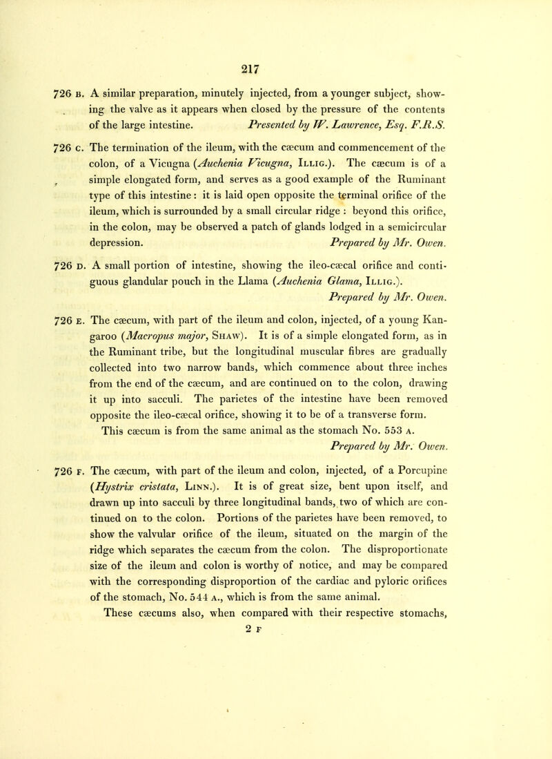726 B. A similar preparation, minutely injected, from a younger subject, show- ing the valve as it appears when closed by the pressure of the contents of the large intestine. Presented by W. Laivrence, Esq. F.R.S. 726 c. The termination of the ileum, with the caecum and commencement of the colon, of a Vicugna {Auchenia Vicugna, Illig.). The caecum is of a ^ simple elongated form, and serves as a good example of the Ruminant type of this intestine : it is laid open opposite the terminal orifice of the ileum, which is surrounded by a small circular ridge : beyond this orifice, in the colon, may be observed a patch of glands lodged in a semicircular depression. Prepared hy Mr. Owen. 726 D. A small portion of intestine, showing the ileo-csecal orifice and conti' guous glandular pouch in the Llama {Auchenia Glama, Illig.). Prepared by Mr. Owen. 726 E. The caecum, with part of the ileum and colon, injected, of a young Kan- garoo {Macropus major, Shaw). It is of a simple elongated form, as in the Ruminant tribe, but the longitudinal muscular fibres are gradually collected into two narrow bands, which commence about three inches from the end of the caecum, and are continued on to the colon, drawing it up into sacculi. The parietes of the intestine have been removed opposite the ileo-caecal orifice, showing it to be of a transverse form. This caecum is from the same animal as the stomach No. 553 a. Prepared by Mr. Oiven. 726 F. The caecum, with part of the ileum and colon, injected, of a Porcupine {Hystrix cristata, Linn.). It is of great size, bent upon itself, and drawn up into sacculi by three longitudinal bands, two of which are con- tinued on to the colon. Portions of the parietes have been removed, to show the valvular orifice of the ileum, situated on the margin of the ridge which separates the caecum from the colon. The disproportionate size of the ileum and colon is worthy of notice, and may be compared with the corresponding disproportion of the cardiac and pyloric orifices of the stomach. No. 544 a., which is from the same animal. These caecums also, when compared with their respective stomachs,