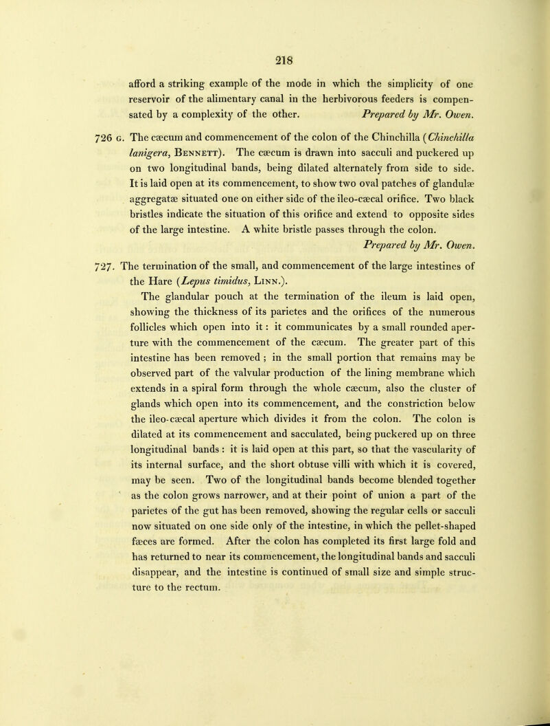 afford a striking example of the mode in which the sirapHcity of one reservoir of the aUmentary canal in the herbivorous feeders is compen- sated by a complexity of the other. Prepared by Mr. Owen. 726 G, The caecum and commencement of the colon of the Chinchilla {Chinchilla lanigera, Bennett). The caecum is drawn into sacculi and puckered up on two longitudinal bands, being dilated alternately from side to side. It is laid open at its commencement, to show two oval patches of glandulae aggregatae situated one on either side of the ileo-caecal orifice. Two black bristles indicate the situation of this orifice and extend to opposite sides of the large intestine. A white bristle passes through the colon. Prepared by Mr. Owen. 727. The termination of the small, and commencement of the large intestines of the Hare {Lepus timidus, Linn.). The glandular pouch at the termination of the ileum is laid open, showing the thickness of its parietes and the orifices of the numerous follicles which open into it: it communicates by a small rounded aper- ture with the commencement of the caecum. The greater part of this intestine has been removed ; in the small portion that remains may be observed part of the valvular production of the lining membrane which extends in a spiral form through the whole caecum, also the cluster of glands which open into its commencement, and the constriction belovr the ileo-caecal aperture which divides it from the colon. The colon is dilated at its commencement and sacculated, being puckered up on three longitudinal bands : it is laid open at this part, so that the vascularity of its internal surface, and the short obtuse villi with which it is covered, may be seen. Two of the longitudinal bands become blended together as the colon grows narrower, and at their point of union a part of the parietes of the gut has been removed, showing the regular cells or sacculi now situated on one side only of the intestine, in which the pellet-shaped faeces are formed. After the colon has completed its first large fold and has returned to near its commencement, the longitudinal bands and sacculi disappear, and the intestine is continued of small size and simple struc- ture to the rectum.