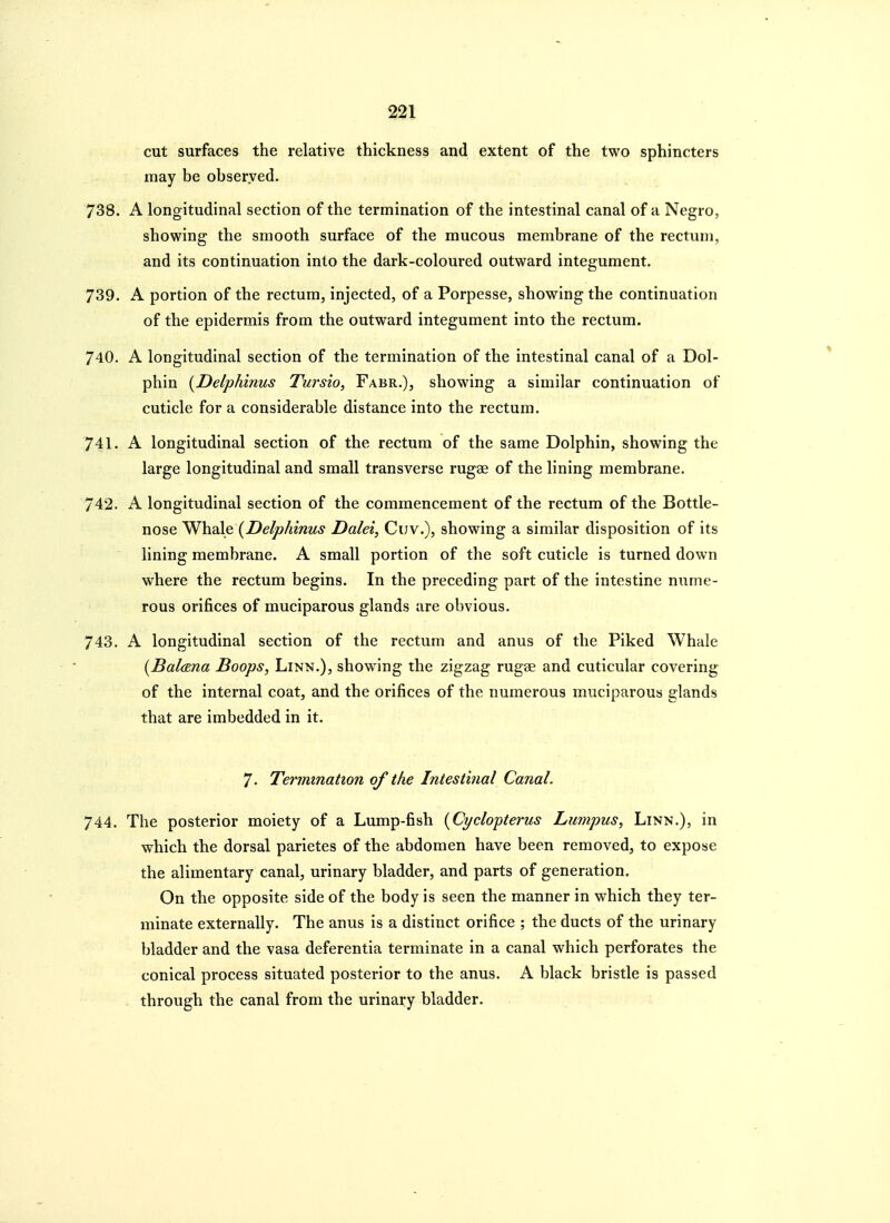 cut surfaces the relative thickness and extent of the two sphincters may be obseryed. 738. A longitudinal section of the termination of the intestinal canal of a Negro, showing the smooth surface of the mucous membrane of the rectum, and its continuation into the dark-coloured outward integument. 739. A portion of the rectum, injected, of a Porpesse, showing the continuation of the epidermis from the outward integument into the rectum. 740. A longitudinal section of the termination of the intestinal canal of a Dol- phin {Delphinus Tursio, Fabr.), showing a similar continuation of cuticle for a considerable distance into the rectum. 741. A longitudinal section of the rectum of the same Dolphin, showing the large longitudinal and small transverse rugae of the lining membrane. 742. A longitudinal section of the commencement of the rectum of the Bottle- nose Whale {Delphinus Dalei, Cuv.), showing a similar disposition of its lining membrane. A small portion of the soft cuticle is turned down where the rectum begins. In the preceding part of the intestine nume- rous orifices of muciparous glands are obvious. 743. A longitudinal section of the rectum and anus of the Piked Whale {BalcEna Boops, Linn.), showing the zigzag rugae and cuticular covering of the internal coat, and the orifices of the numerous muciparous glands that are imbedded in it. 7- Termination of the Intestinal Canal. 744. The posterior moiety of a Lump-fish {Cyclopterus Lumpus, Linn.), in which the dorsal parietes of the abdomen have been removed, to expose the alimentary canal, urinary bladder, and parts of generation. On the opposite side of the body is seen the manner in which they ter- minate externally. The anus is a distinct orifice ; the ducts of the urinary bladder and the vasa deferentia terminate in a canal which perforates the conical process situated posterior to the anus. A black bristle is passed through the canal from the urinary bladder.