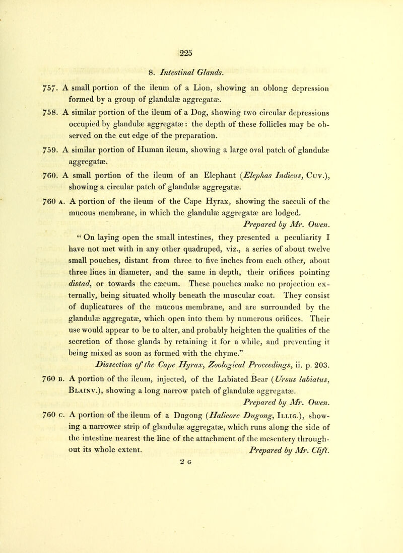 8. Intestinal Glands. 'Jb'J' A sniall portion of the ileum of a Lion, showing an oblong depression formed by a group of glandulae aggregatse. 758. A similar portion of the ileum of a Dog, showing two circular depressions occupied by glandulae aggregatae : the depth of these foUicles may be ob- served on the cut edge of the preparation. 759. A similar portion of Human ileum, showing a large oval patch of glandulae aggregat£e. 760. A small portion of the ileum of an Elephant {Elephas Indicus, Cuv.), showing a circular patch of glandulae aggregatae. 760 A. A portion of the ileum of the Cape Hyrax, showing the sacculi of the mucous membrane, in which the glandulae aggregatae are lodged. Prepared by Mr. Owen. On laying open the small intestines, they presented a peculiarity I have not met with in any other quadruped, viz., a series of about twelve small pouches, distant from three to five inches from each other, about three lines in diameter, and the same in depth, their orifices pointing distad, or towards the csecum. These pouches make no projection ex- ternally, being situated wholly beneath the muscular coat. They consist of duplicatures of the mucous membrane, and are surrounded by the glandulae aggregatae, which open into them by numerous orifices. Their use would appear to be to alter, and probably heighten the qualities of the secretion of those glands by retaining it for a while, and preventing it being mixed as soon as formed with the chyme. Dissection of the Cape Hyrax, Zoological Proceedings, ii. p. 203. 760 B. A portion of the ileum, injected, of the Labiated Bear (Ursus labiatus, Blainv.), showing a long narrow patch of glandulae aggregatae. Prepared by Mr. Oiven. 760 c. A portion of the ileum of a Dugong {Halicore Dugong, Illig ), show- ing a narrower strip of glandulae aggregatae, which runs along the side of the intestine nearest the hne of the attachment of the mesentery through- out its whole extent. Prepared by Mr. Clift. 2 G