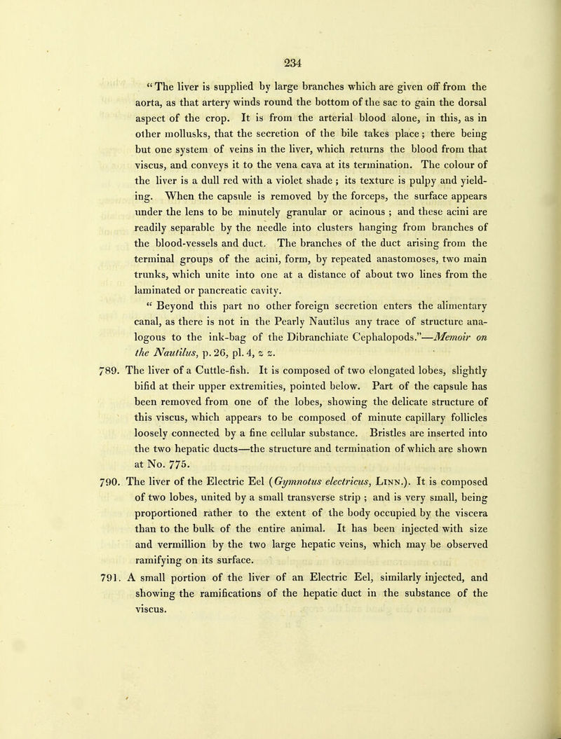  The liver is supplied by large branches which are given off from the aorta, as that artery winds round the bottom of the sac to gain the dorsal aspect of the crop. It is from the arterial blood alone, in this, as in other mollusks, that the secretion of the bile takes place; there being but one system of veins in the liver, which returns the blood from that viscus, and conveys it to the vena cava at its termination. The colour of the liver is a dull red with a violet shade ; its texture is pulpy and yield- ing. When the capsule is removed by the forceps, the surface appears under the lens to be minutely granular or acinous ; and these acini are readily separable by the needle into clusters hanging from branches of the blood-vessels and duct. The branches of the duct arising from the terminal groups of the acini, form, by repeated anastomoses, two main trunks, which unite into one at a distance of about two lines from the laminated or pancreatic cavity.  Beyond this part no other foreign secretion enters the alimentary canal, as there is not in the Pearly Nautilus any trace of structure ana- logous to the ink-bag of the Dibranchiate Cephalopods.—Memoir on the Nautilus, p. 26, pi. 4, s z. 789. The liver of a Cuttle-fish. It is composed of two elongated lobes, slightly bifid at their upper extremities, pointed below. Part of the capsule has been removed from one of the lobes, showing the delicate structure of this viscus, which appears to be composed of minute capillary follicles loosely connected by a fine cellular substance. Bristles are inserted into the two hepatic ducts—the structure and termination of which are shown at No. 775. 790. The liver of the Electric Eel {Gymnotus electricus, Linn.). It is composed of two lobes, united by a small transverse strip ; and is very small, being proportioned rather to the extent of the body occupied by the viscera than to the bulk of the entire animal. It has been injected with size and Vermillion by the two large hepatic veins, which may be observed ramifying on its surface. 791. A small portion of the liver of an Electric Eel, similarly injected, and showing the ramifications of the hepatic duct in the substance of the viscus.