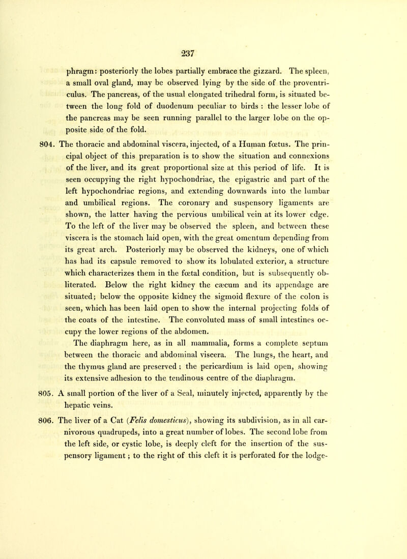 phragm: posteriorly the lobes partially embrace the gizzard. The spleen, a small oval gland, may be observed lying by the side of the proventri- culus. The pancreas, of the usual elongated trihedral form, is situated be- tween the long fold of duodenum peculiar to birds : the lesser lobe of the pancreas may be seen running parallel to the larger lobe on the op- posite side of the fold. 804. The thoracic and abdominal viscera, injected, of a Human foetus. The prin- cipal object of this preparation is to show the situation and connexions of the liver, and its great proportional size at this period of life. It is seen occupying the right hypochondriac, the epigastric and part of the left hypochondriac regions, and extending downwards into the lumbar and umbilical regions. The coronary and suspensory ligaments are shown, the latter having the pervious umbilical vein at its lower edge. To the left of the liver may be observed the spleen, and between these viscera is the stomach laid open, with the great omentum depending from its great arch. Posteriorly may be observed the kidneys, one of which has had its capsule removed to show its lobulated exterior, a structure which characterizes them in the foetal condition, but is subsequently ob- literated. Below the right kidney the caecum and its appendage are situated; below the opposite kidney the sigmoid flexure of the colon is seen, which has been laid open to show the internal projecting folds of the coats of the intestine. The convoluted mass of small intestines oc- cupy the lower regions of the abdomen. The diaphragm here, as in all mammalia, forms a complete septum between the thoracic and abdominal viscera. The lungs, the heart, and the thymus gland are preserved ; the pericardium is laid open, showing its extensive adhesion to the tendinous centre of the diaphragm. 805. A small portion of the liver of a Seal, minutely injected, apparently by the hepatic veins. 806. The liver of a Cat {Felis domesticus), showing its subdivision, as in all car- nivorous quadrupeds, into a great number of lobes. The second lobe from the left side, or cystic lobe, is deeply cleft for the insertion of the sus- pensory ligament; to the right of this cleft it is perforated for the lodge-