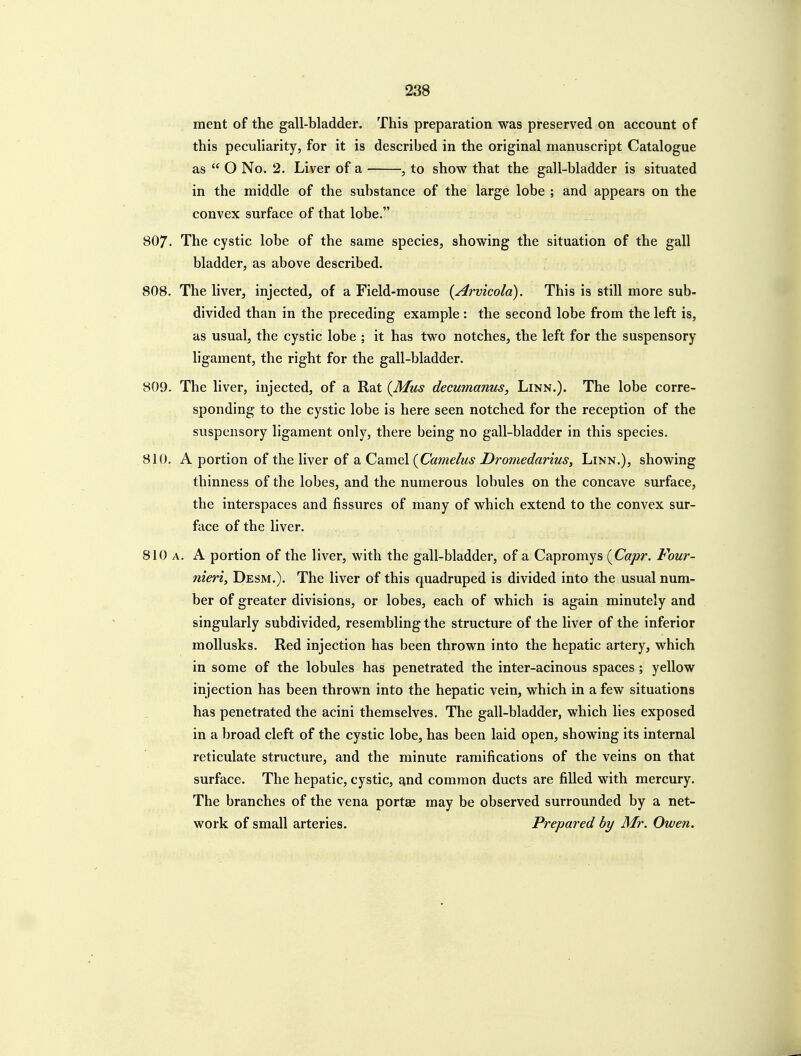 ment of the gall-bladder. This preparation was preserved on account of this peculiarity, for it is described in the original manuscript Catalogue as  O No. 2. Liver of a , to show that the gall-bladder is situated in the middle of the substance of the large lobe ; and appears on the convex surface of that lobe. 807. The cystic lobe of the same species, showing the situation of the gall bladder, as above described. 808. The liver, injected, of a Field-mouse {Arvkola). This is still more sub- divided than in the preceding example : the second lobe from the left is, as usual, the cystic lobe ; it has two notches, the left for the suspensory ligament, the right for the gall-bladder. 809. The liver, injected, of a Rat {Mus decumanus, Linn.). The lobe corre- sponding to the cystic lobe is here seen notched for the reception of the suspensory ligament only, there being no gall-bladder in this species. 810. A portion of the liver of a Camel {Camelus Dromedarius, Linn.), showing thinness of the lobes, and the numerous lobules on the concave surface, the interspaces and fissures of many of which extend to the convex sur- face of the liver. 810 a. a portion of the liver, with the gall-bladder, of a Capromys {Capr. Four- nieri, Desm.). The liver of this quadruped is divided into the usual num- ber of greater divisions, or lobes, each of which is again minutely and singularly subdivided, resembling the structure of the liver of the inferior mollusks. Red injection has been thrown into the hepatic artery, which in some of the lobules has penetrated the inter-acinous spaces; yellow injection has been thrown into the hepatic vein, which in a few situations has penetrated the acini themselves. The gall-bladder, which lies exposed in a broad cleft of the cystic lobe, has been laid open, showing its internal reticulate structure, and the minute ramifications of the veins on that surface. The hepatic, cystic, find common ducts are filled with mercury. The branches of the vena portae may be observed surrounded by a net- work of small arteries. Prepared by Mr. Owen.