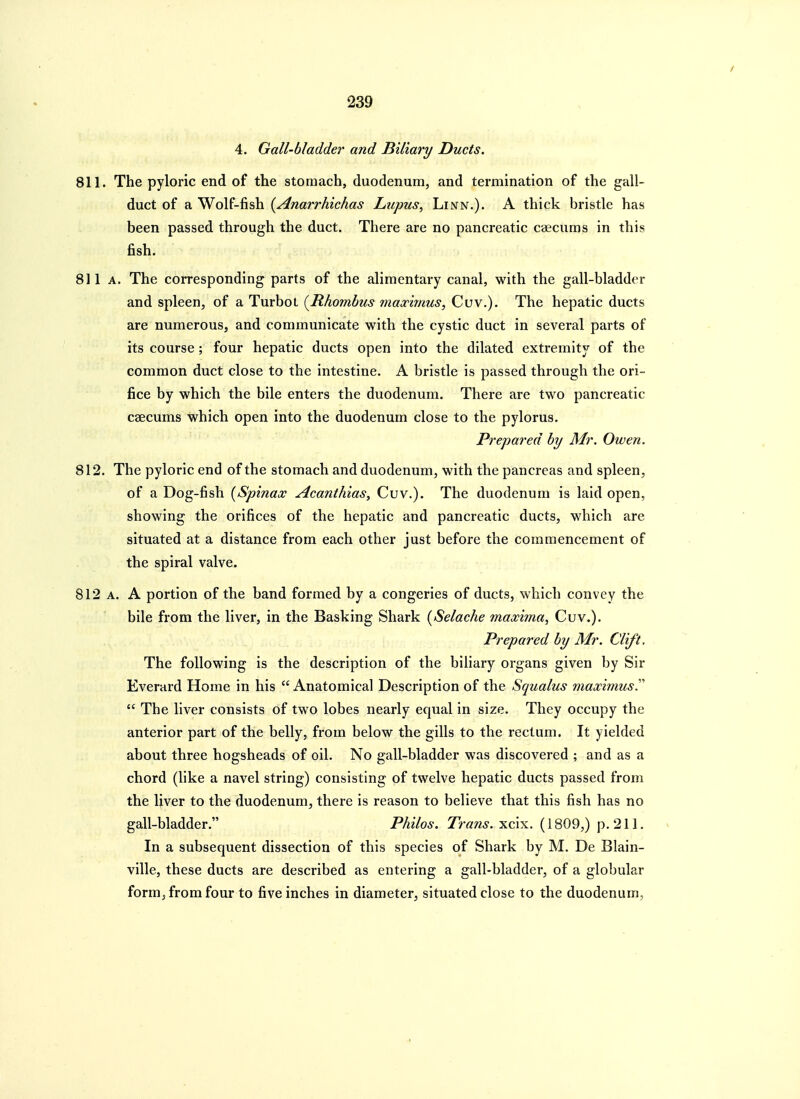 4. Gall-bladder and Biliary Ducts. 811. The pyloric end of the stomach, duodenum, and termination of the gall- duct of a Wolf-fish {Anarrhichas Lupus, Linn.). A thick bristle has been passed through the duct. There are no pancreatic caecums in this fish. 811a. The corresponding parts of the alimentary canal, with the gall-bladder and spleen, of a Turbol {Ithomhus maxiinus, Cuv.). The hepatic ducts are numerous, and communicate with the cystic duct in several parts of its course ; four hepatic ducts open into the dilated extremity of the common duct close to the intestine. A bristle is passed through the ori- fice by which the bile enters the duodenum. There are two pancreatic csecums which open into the duodenum close to the pylorus. Prepared by Mr. Owen. 812. The pyloric end of the stomach and duodenum, with the pancreas and spleen, of a Dog-fish [Spinax Acanthias, Cuv.). The duodenum is laid open, showing the orifices of the hepatic and pancreatic ducts, which are situated at a distance from each other just before the commencement of the spiral valve. 812 A. A portion of the band formed by a congeries of ducts, which convey the bile from the liver, in the Basking Shark {Selache maxima, Cuv.). Prepared by Mr. Clift. The following is the description of the biliary organs given by Sir Everard Home in his  Anatomical Description of the Squalus maximusT  The liver consists of two lobes nearly equal in size. They occupy the anterior part of the belly, from below the gills to the rectum. It yielded about three hogsheads of oil. No gall-bladder was discovered ; and as a chord (like a navel string) consisting of twelve hepatic ducts passed from the liver to the duodenum, there is reason to believe that this fish has no gall-bladder. PAeVo^-. xcix. (1809,) p. 211. ^ In a subsequent dissection of this species of Shark by M. De Blain- ville, these ducts are described as entering a gall-bladder, of a globular form, from four to five inches in diameter, situated close to the duodenum,
