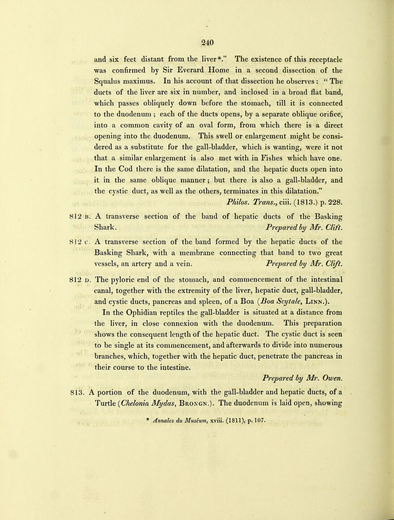 and six feet distant from the liver*. The existence of this receptacle was confirmed by Sir Everard Home in a second dissection of the Squalus niaximus. In his account of that dissection he observes :  The ducts of the liver are six in number, and inclosed in a broad flat band, which passes obliquely down before the stomach, till it is connected to the duodenum; each of the ducts opens, by a separate oblique orifice, into a common cavity of an oval form, from which there is a direct opening into the duodenum. This swell or enlargement might be consi- dered as a substitute for the gall-bladder, which is wanting, were it not that a similar enlargement is also met with in Fishes which have one. In the Cod there is the same dilatation, and the hepatic ducts open into it in the same oblique manner; but there is also a gall-bladder, and the cystic duct, as well as the others, terminates in this dilatation. Philos. Trans., ciii. (1813.) p. 228. 812 B. A transverse section of the band of hepatic ducts of the Basking Shark. Preparedhy Mr. Clift. 812 c. A transverse section of the band formed by the hepatic ducts of the Basking Shark, with a membrane connecting that band to two great vessels, an artery and a vein. Prepared by Mr. Clift. 812 D. The pyloric end of the stomach, and commencement of the intestinal canal, together with the extremity of the liver, hepatic duct, gall-bladder, and cystic ducts, pancreas and spleen, of a Boa (^Boa Scytale, Linn.). In the Ophidian reptiles the gall-bladder is situated at a distance from the liver, in close connexion with the duodenum. This preparation shows the consequent length of the hepatic duct. The cystic duct is seen to be single at its commencement, and afterwards to divide into numerous branches, which, together with the hepatic duct, penetrate the pancreas in their course to the intestine. Prepared by Mr. Owen. 813. A portion of the duodenum, with the gall-bladder and hepatic ducts, of a Turtle {Chelonia My das, Brongn.)- The duodenum is laid open, showing * Annales du Museum, xviii. (1811), p. 107.