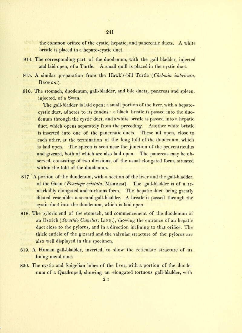 the common orifice of the cystic, hepatic, and pancreatic ducts. A white bristle is placed in a hepato-cystic duct. 814. The corresponding part of the duodenum, with the gall-bladder, injected and laid open, of a Turtle. A small quill is placed in the cystic duct. 815. A similar preparation from the Hawk's-bill Turtle {Chelonia imbricatu, Brongn.). 816. The stomach, duodenum, gall-bladder, and bile ducts, pancreas and spleen, injected, of a Swan. The gall-bladder is laid open; a small portion of the liver, with a hepato- cystic duct, adheres to its fundus : a black bristle is passed into the duo- denum through the cystic duct, and a white bristle is passed into a hepatic duct, which opens separately from the preceding. Another white bristle is inserted into one of the pancreatic ducts. These all open, close to each other, at the termination of the long fold of the duodenum, which is laid open. The spleen is seen near the junction of the proventriculus and gizzard, both of which are also laid open. The pancreas may be ob- served, consisting of two divisions, of the usual elongated form, situated within the fold of the duodenum. 817- A portion of the duodenum, with a section of the liver and the gall-bladder, of the Guan {Penelope cristata, Merrem). The gall-bladder is of a re- markably elongated and tortuous form. The hepatic duct being greatly dilated resembles a second gall-bladder. A bristle is passed through the cystic duct into the duodenum, which is laid open. 818. The pyloric end of the stomach, and commencement of the duodenum of an Ostrich [Struthio Camelus, Linn.), showing the entrance of an hepatic duct close to the pylorus, and in a direction inclining to that orifice. The thick cuticle of the gizzard and the valvular structure of the pylorus are also well displayed in this specimen. 819. A Human gall-bladder, inverted, to show the reticulate structure of its lining membrane. 820. The cystic and Spigelian lobes of the liver, with a portion of the duode- num of a Quadruped, showing an elongated tortuous gall-bladder, with 2 I