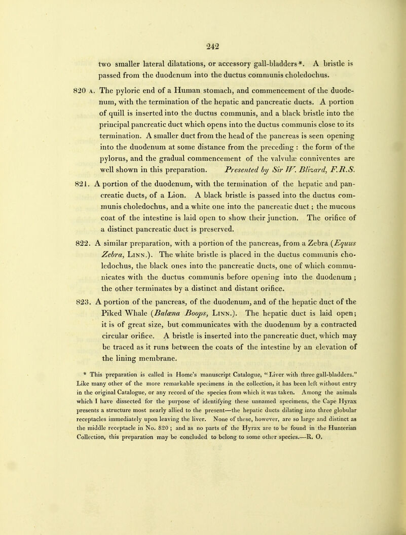 two smaller lateral dilatations, or accessory gall-bladders*. A bristle is passed from the duodenum into the ductus communis choledochus. 820 A. The pyloric end of a Human stomach, and commencement of the duode- num, with the termination of the hepatic and pancreatic ducts. A portion of quill is inserted into the ductus communis, and a black bristle into the principal pancreatic duct which opens into the ductus communis close to its termination. A smaller duct from the head of the pancreas is seen opening into the duodenum at some distance from the preceding : the form of the pylorus, and the gradual commencement of the valvulae conniventes are well shown in this preparation. Presented by Sir TV. Blizard, F.R.S. 821. A portion of the duodenum, with the termination of the hepatic and pan- creatic ducts, of a Lion. A black bristle is passed into the ductus com- munis choledochus, and a white one into the pancreatic duct; the mucous coat of the intestine is laid open to show their junction. The orifice of a distinct pancreatic duct is preserved. 822. A similar preparation, with a portion of the pancreas, from a Zebra (Equus Zebra, Linn.). The white bristle is placed in the ductus communis cho- ledochus, the black ones into the pancreatic ducts, one of which commu- nicates with the ductus communis before opening into the duodenum ; the other terminates by a distinct and distant orifice. 823. A portion of the pancreas, of the duodenum, and of the hepatic duct of the Piked Whale {Balana JBoops, Linn.). The hepatic duct is laid open; it is of great size, but communicates with the duodenum by a contracted circular orifice. A bristle is inserted into the pancreatic duct, which may be traced as it runs between the coats of the intestine by an elevation of the lining membrane. * This preparation is called in Home's manuscript Catalogue, Liver with three gall-bladders. Like many other of the more remarkable specimens in the collection, it has been left without entry in the original Catalogue, or any record of the species from which it was taken. Among the animals which I have dissected for the purpose of identifying these unnamed specimens, the Cape Hyrax presents a structure most nearly allied to the present—the hepatic ducts dilating into three globular receptacles immediately upon leaving the liver. None of these, however, are so large and distinct as the middle receptacle in No. 820 ; and as no parts of the Hyrax are to be found in the Hunterian Collection, this preparation may be concluded to belong to some other species.—R. O.